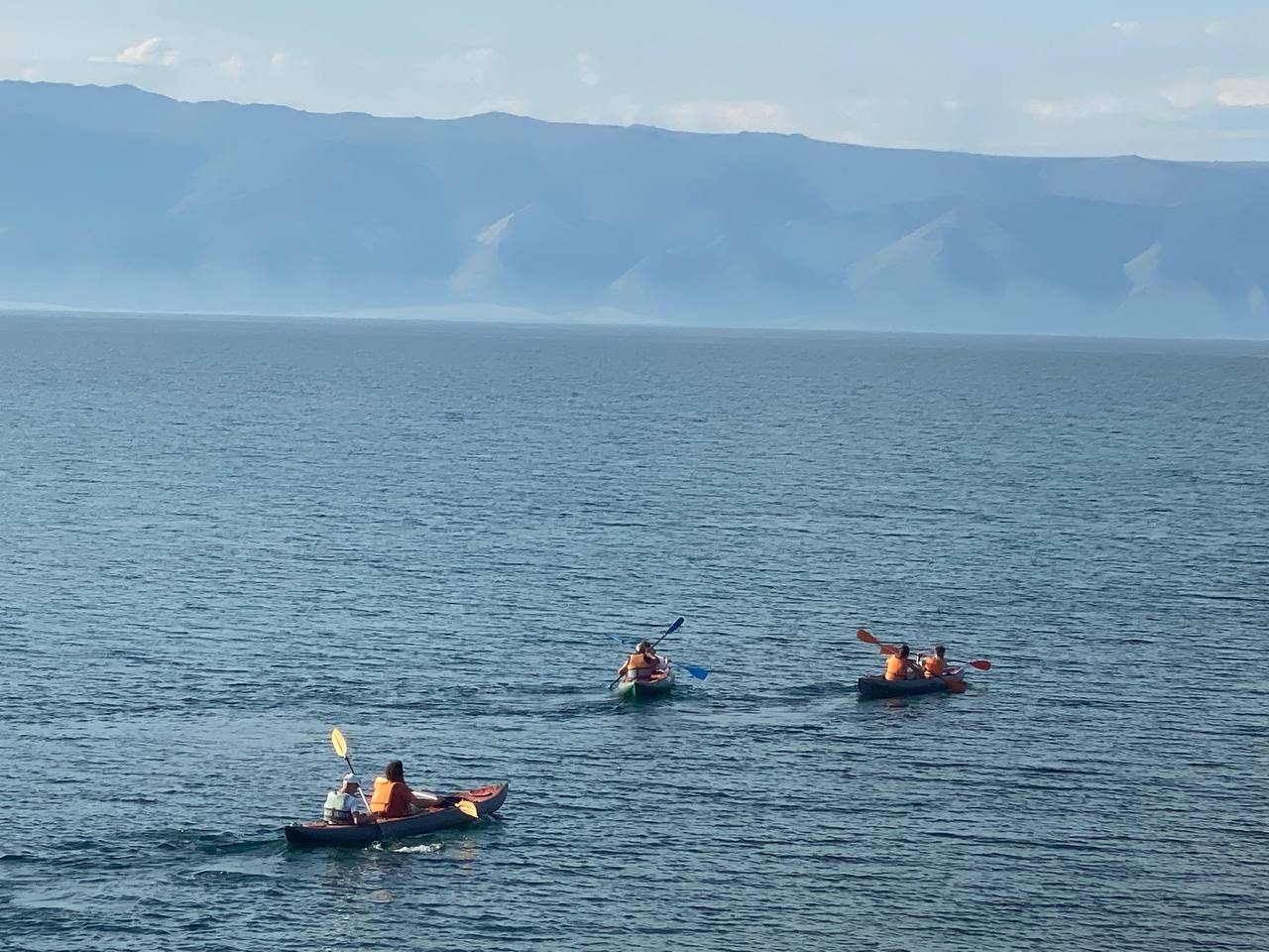 Фото Филоксения