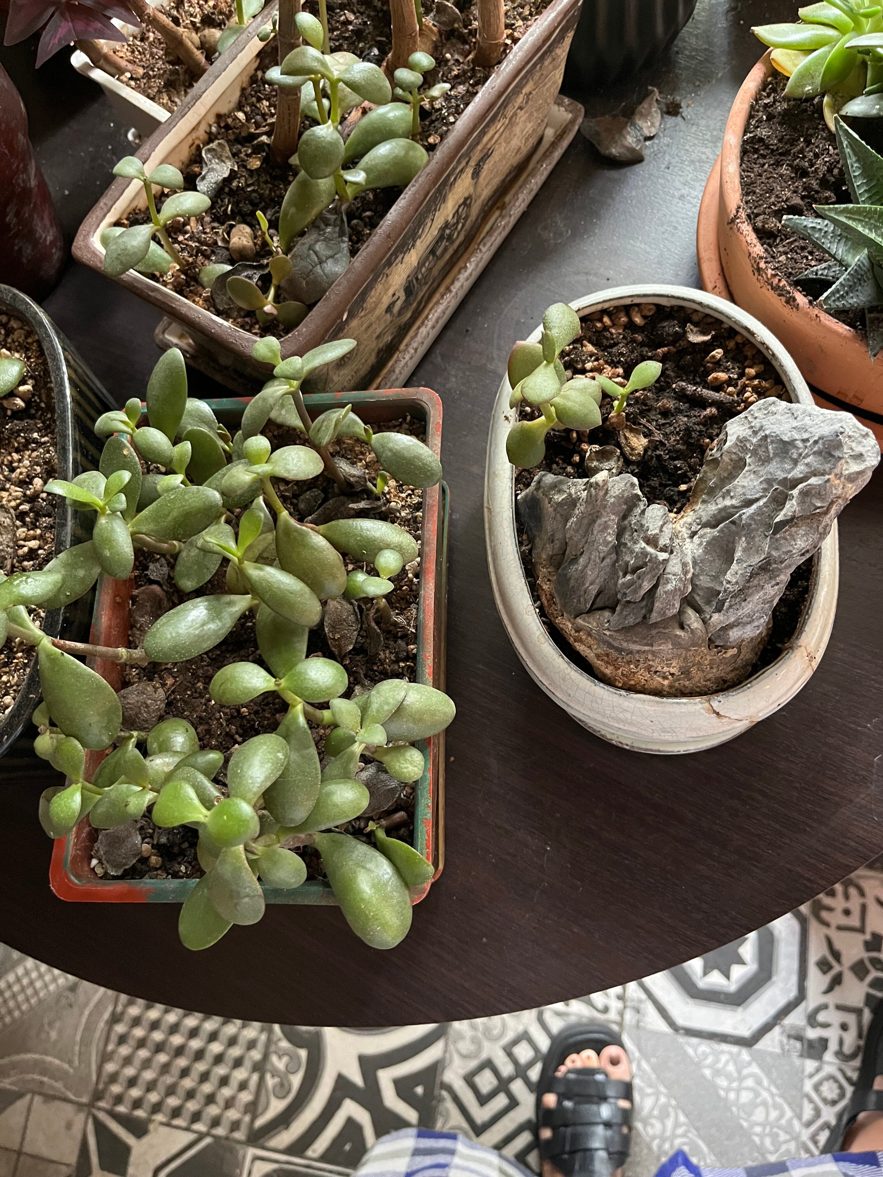 Фото Красная гора