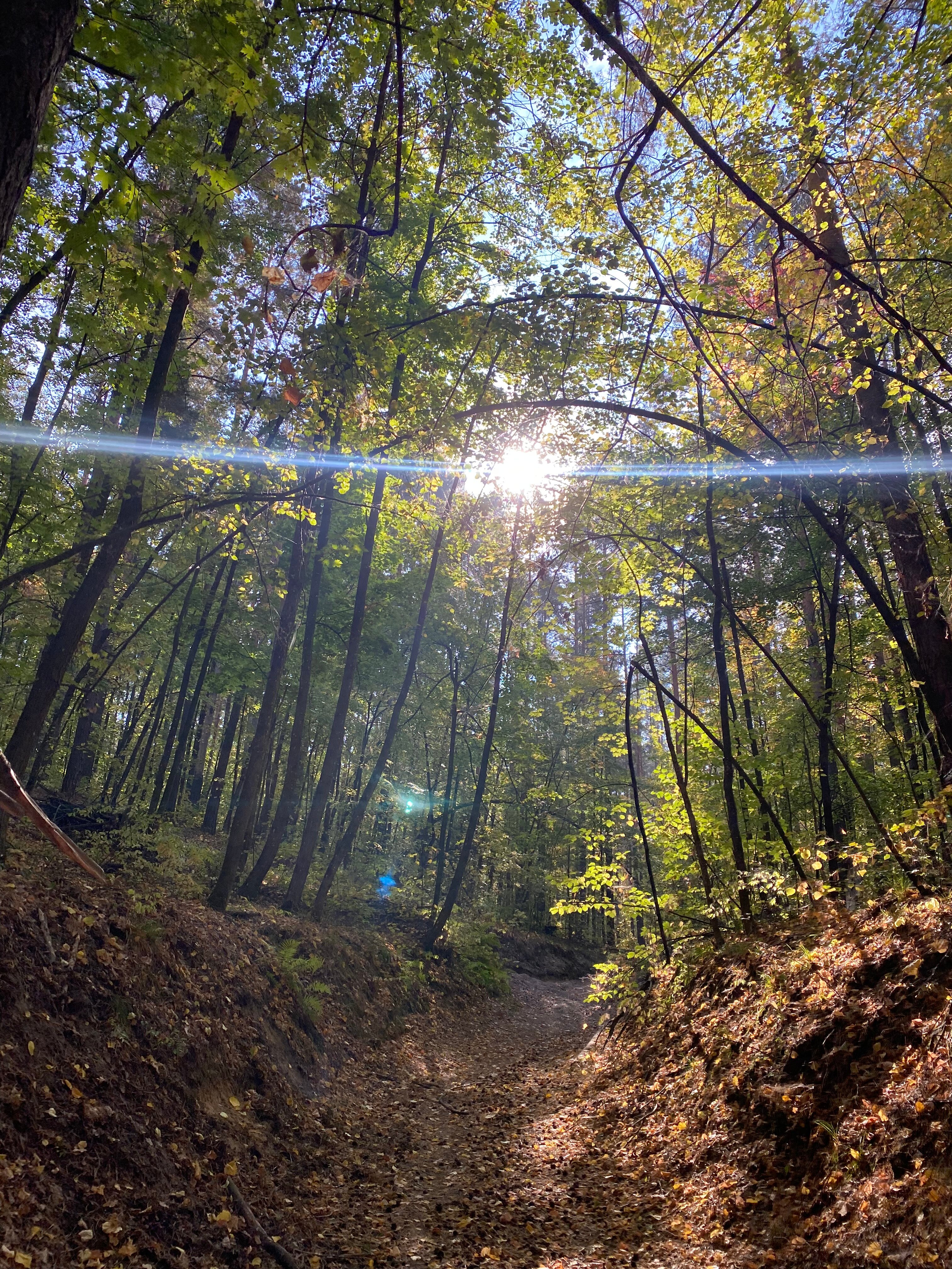 Фото Монте-Карло