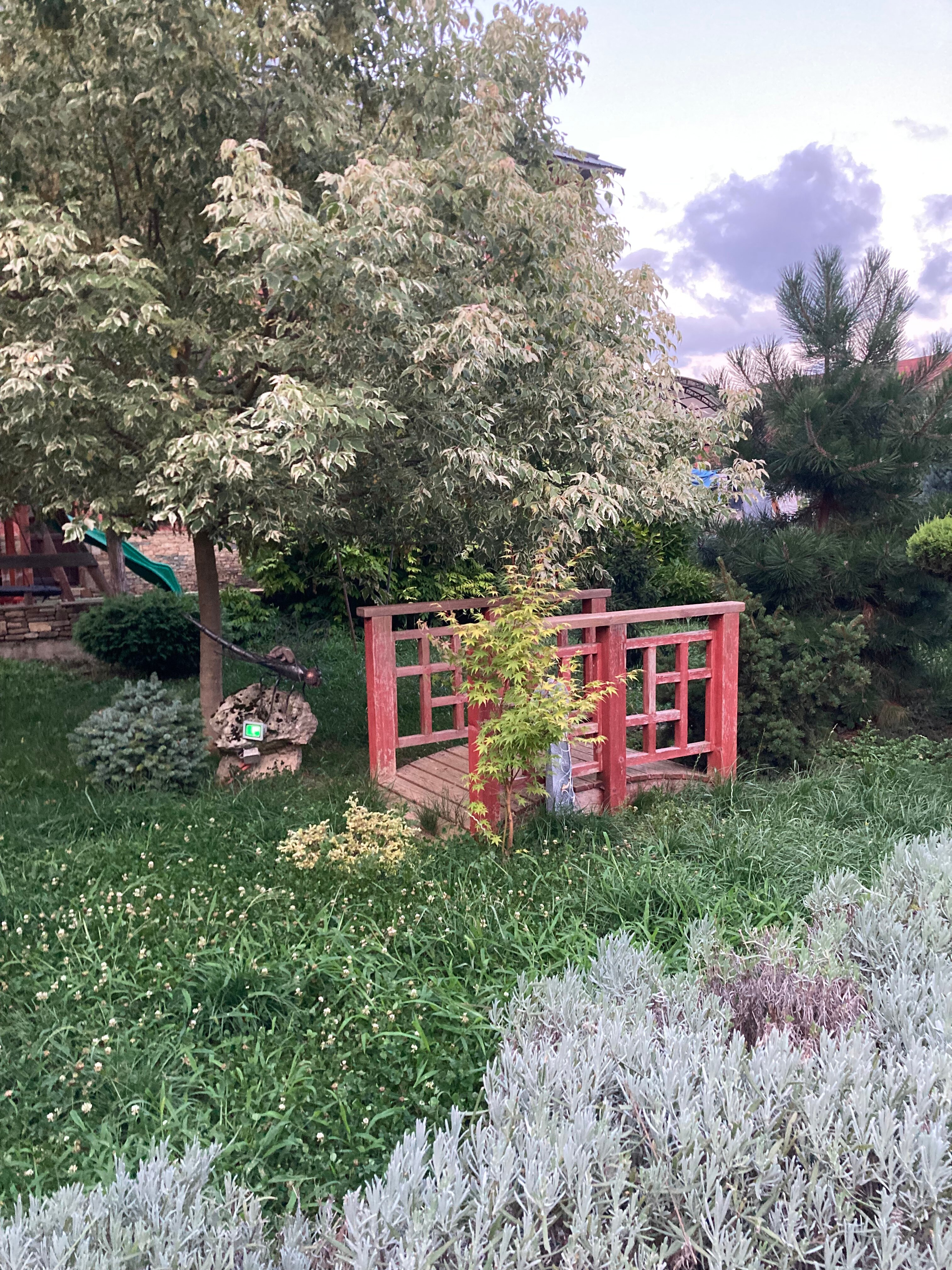 Фото Саксония