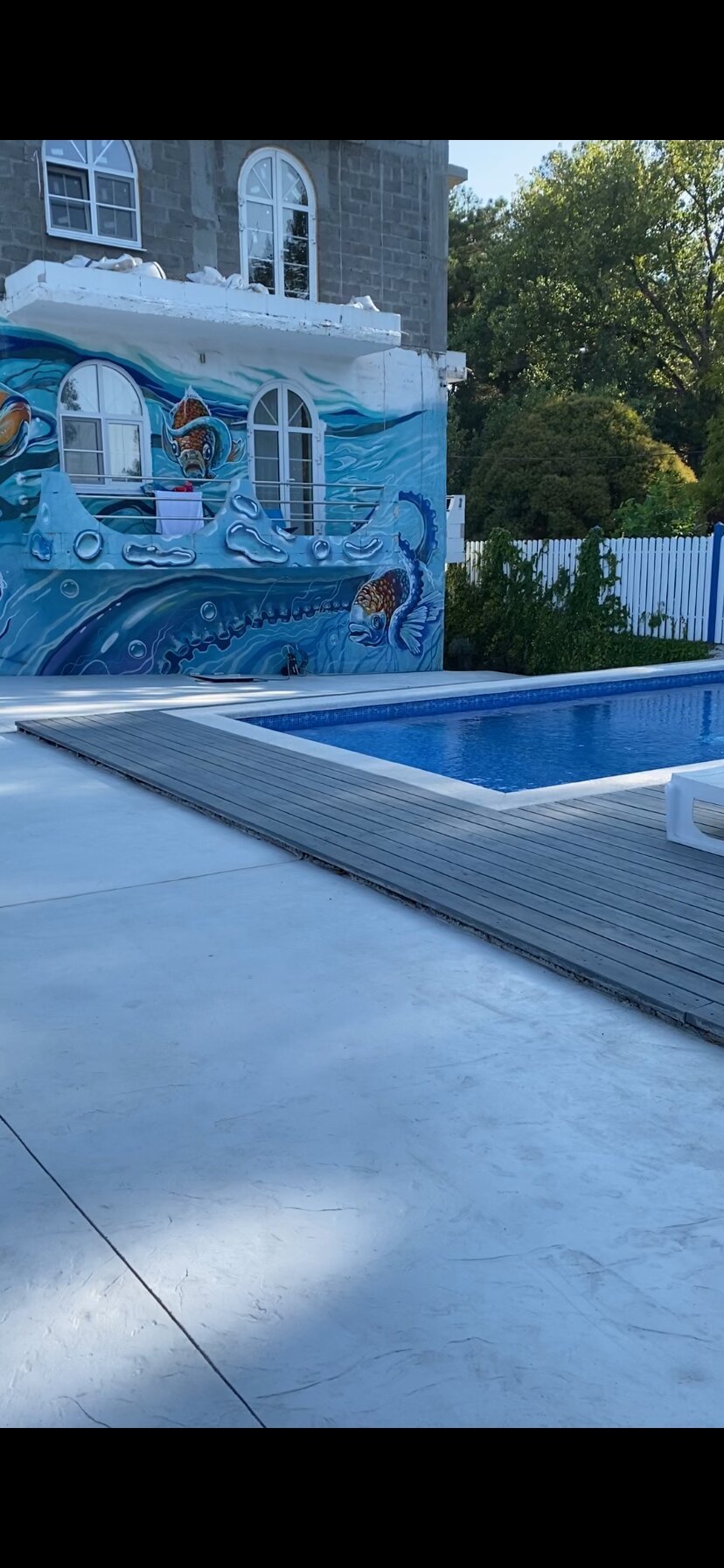 Фото Алиса, привет!