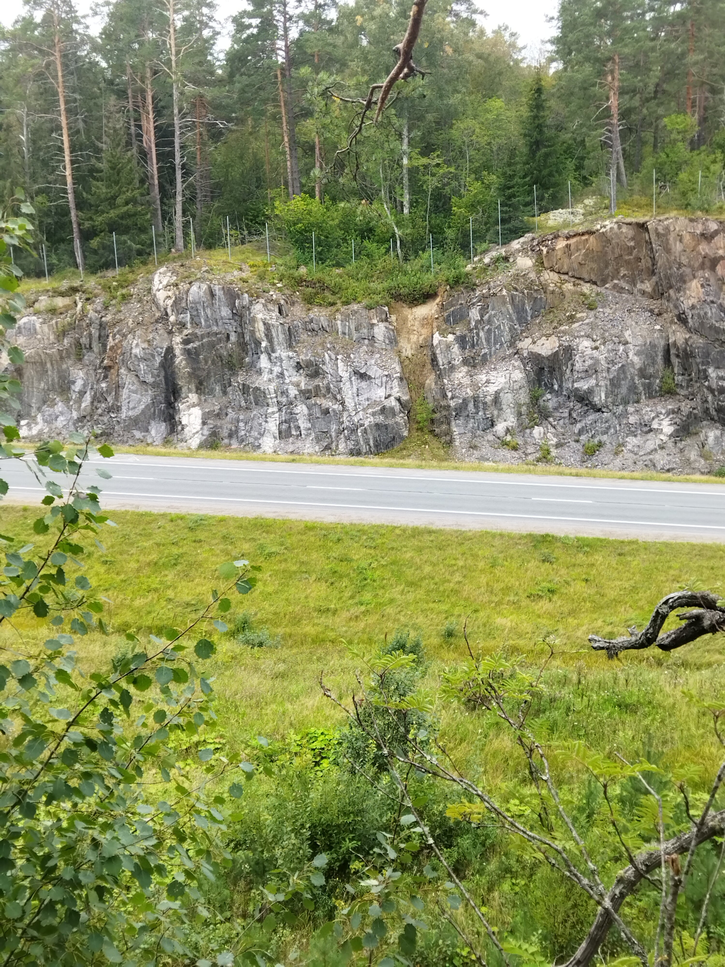 Фото Берёзово Хутор