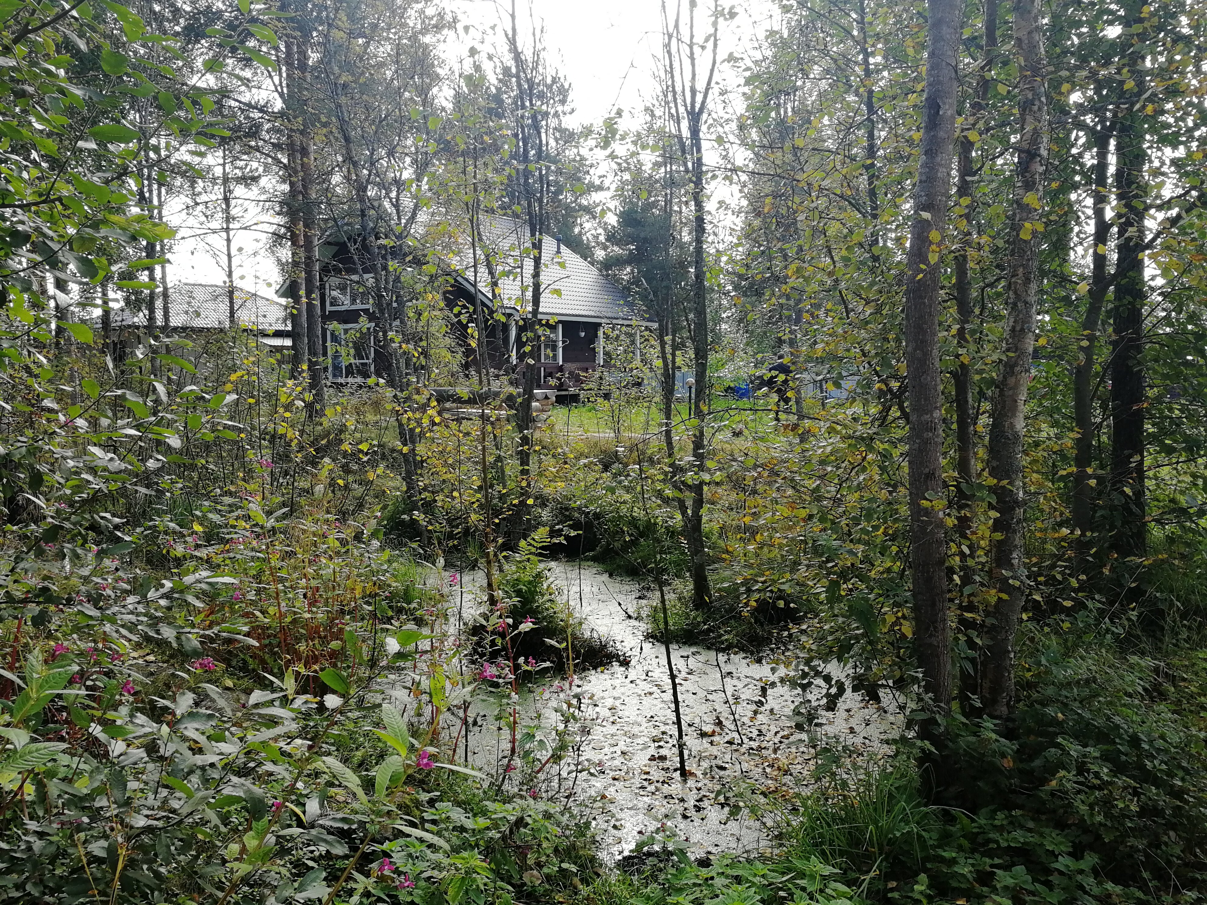 Фото Территория уюта