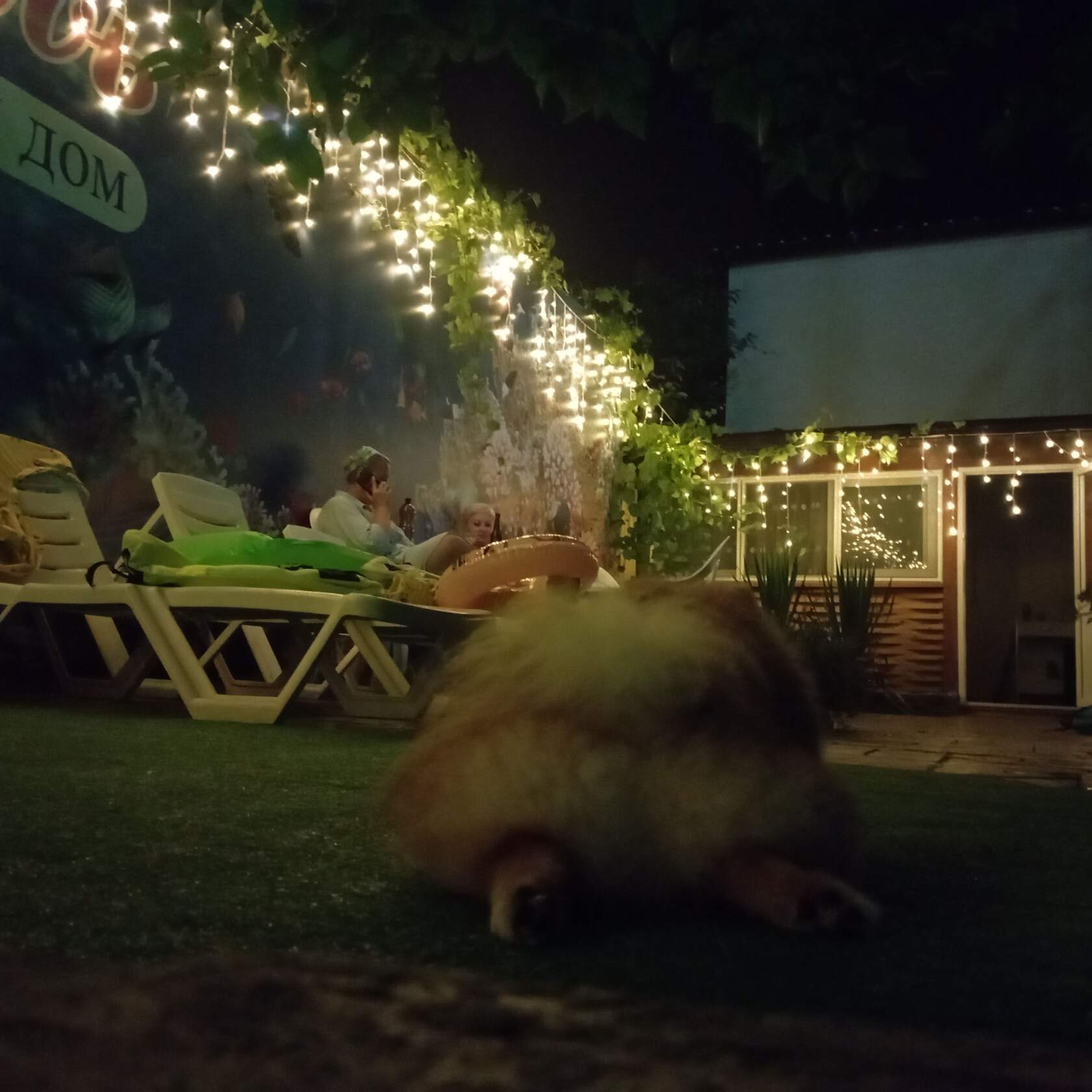 Фото Любовь