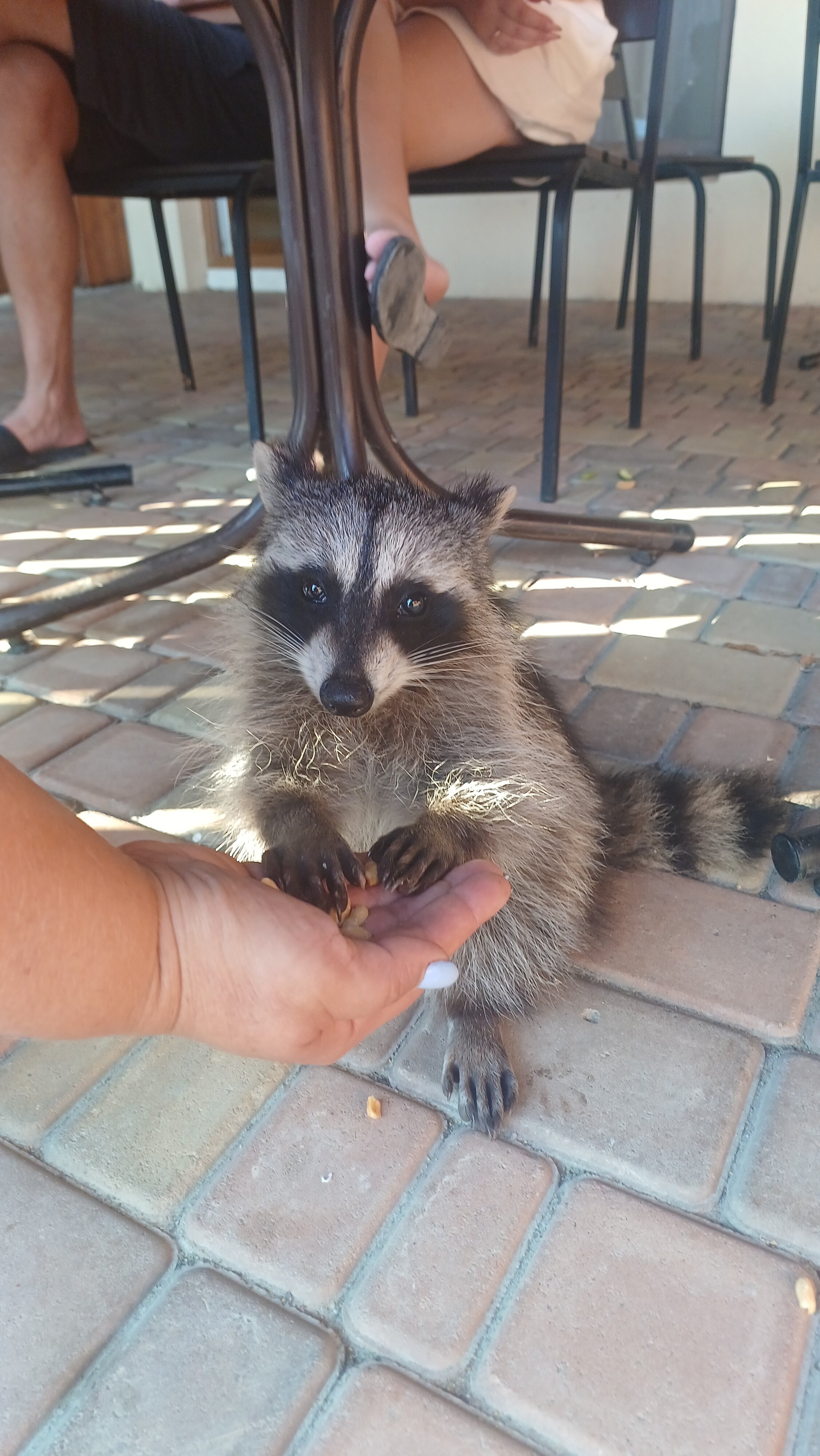 Фото Прибрежная сказка