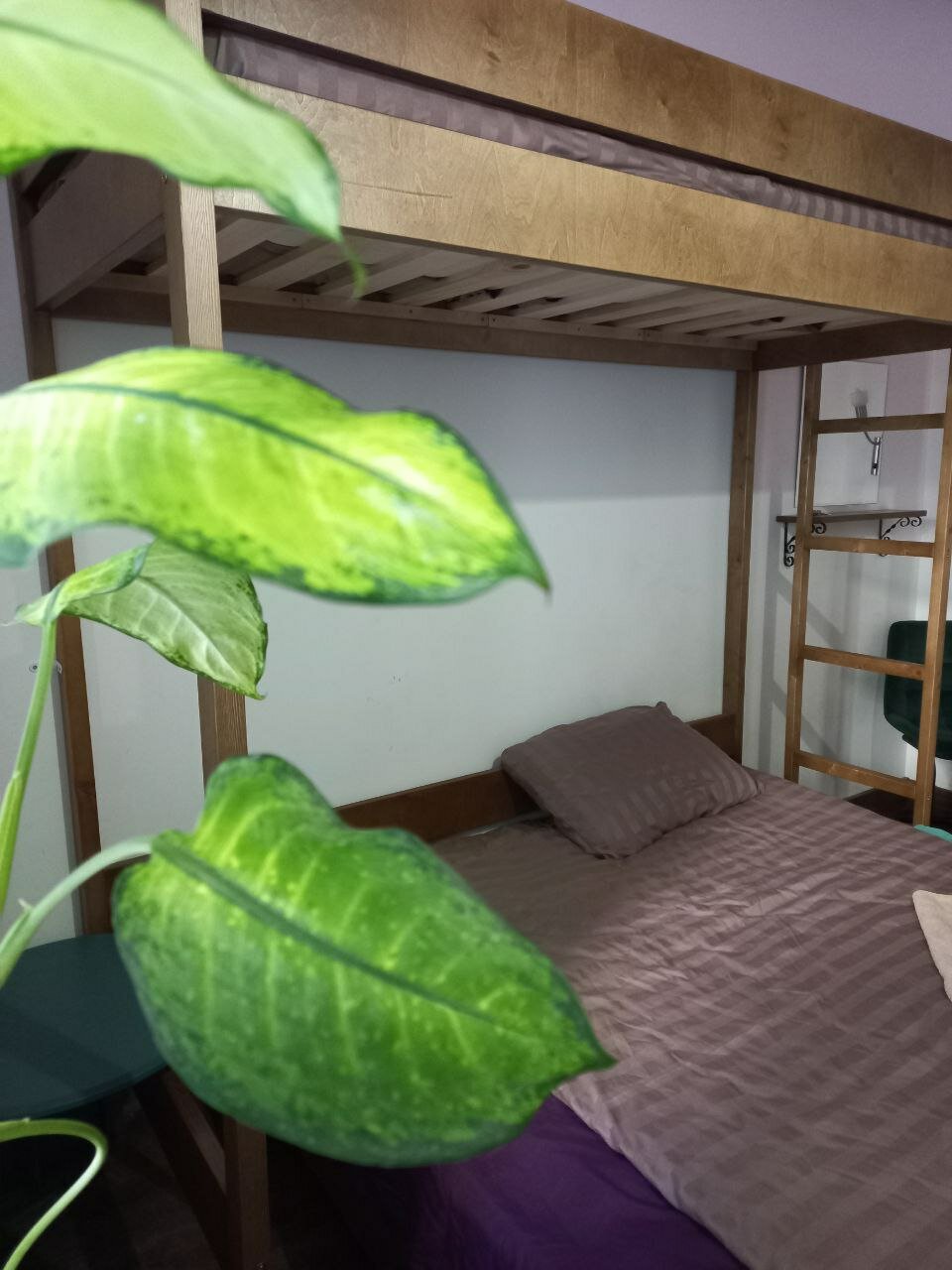 Фото Лидваль