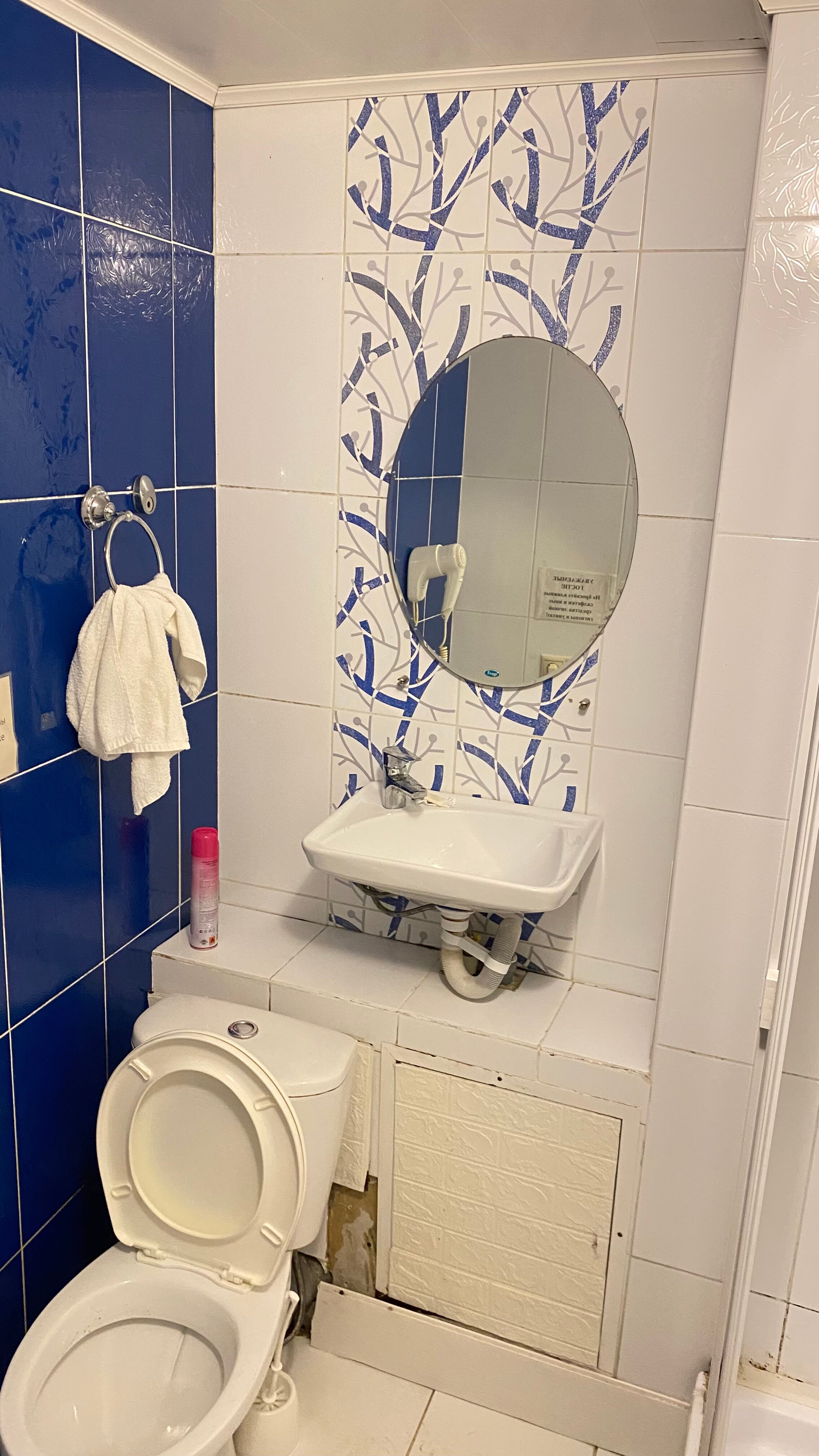 Фото Базилик