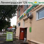 Среди цветов (Ленинградская ул., 126), магазин для садоводов в Воронеже