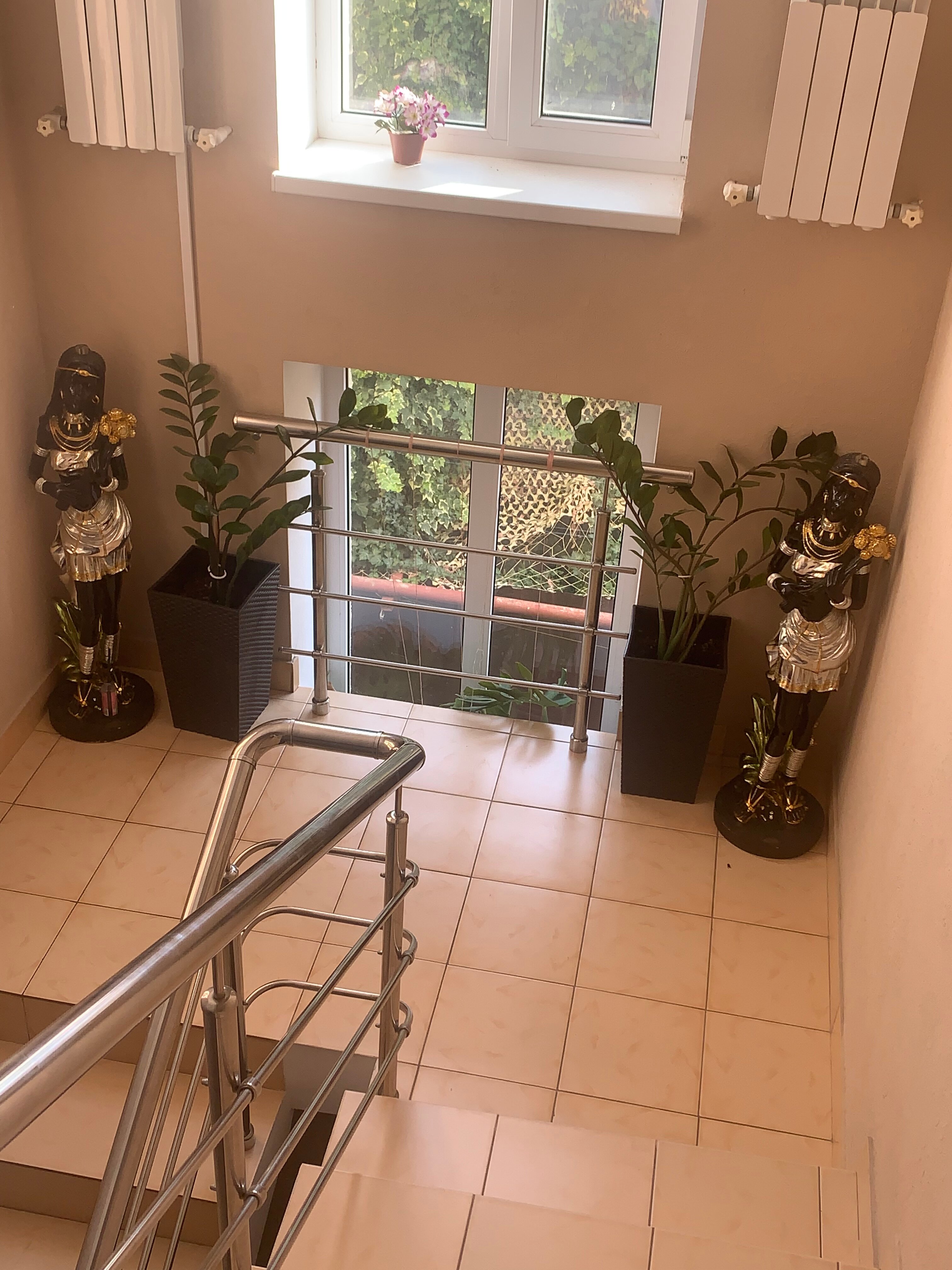 Фото Кипарис