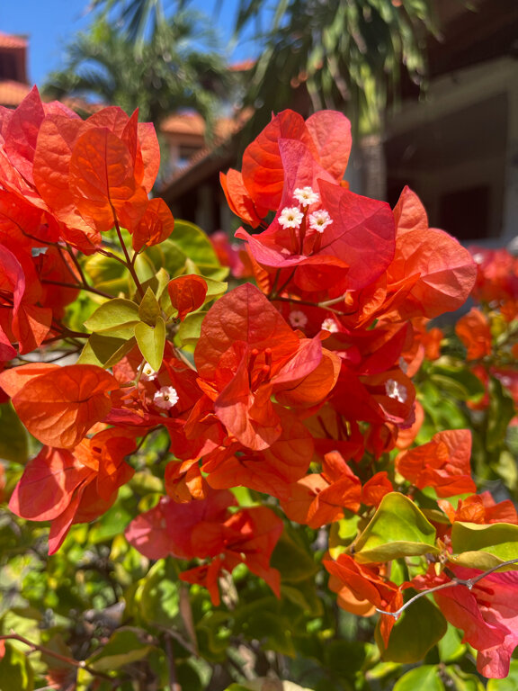 Фото Hilton Bali Resort