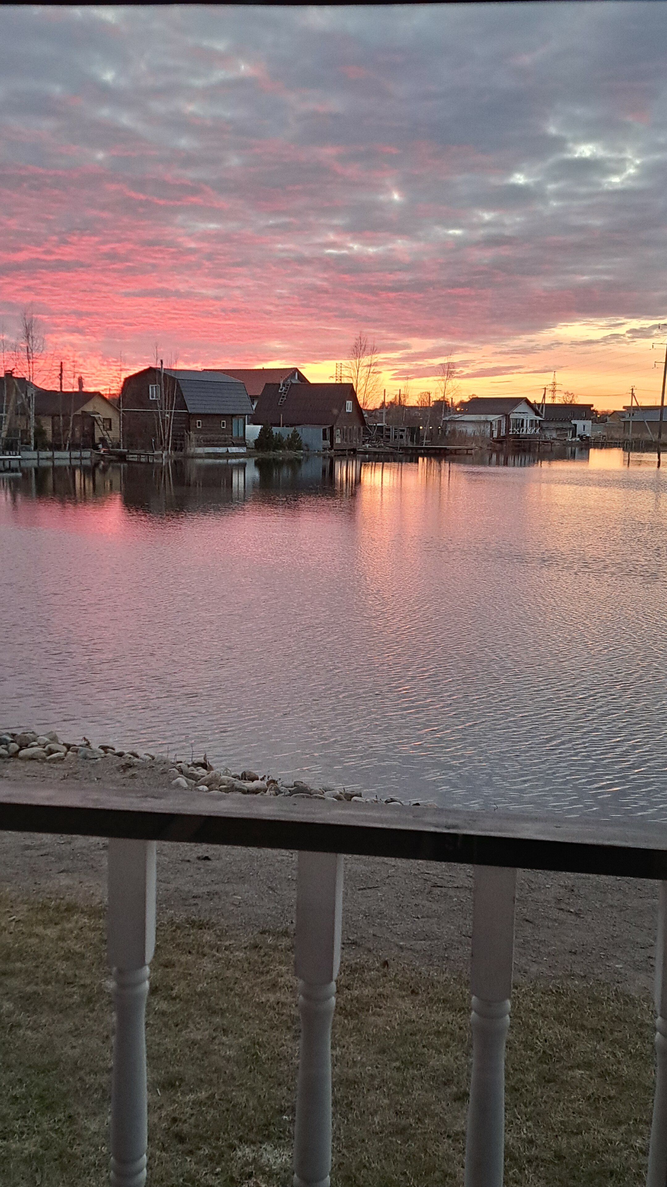 Фото Ромашковая