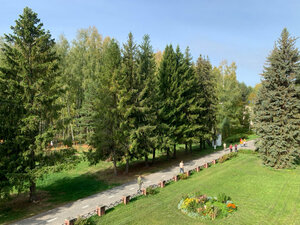 Буревестник