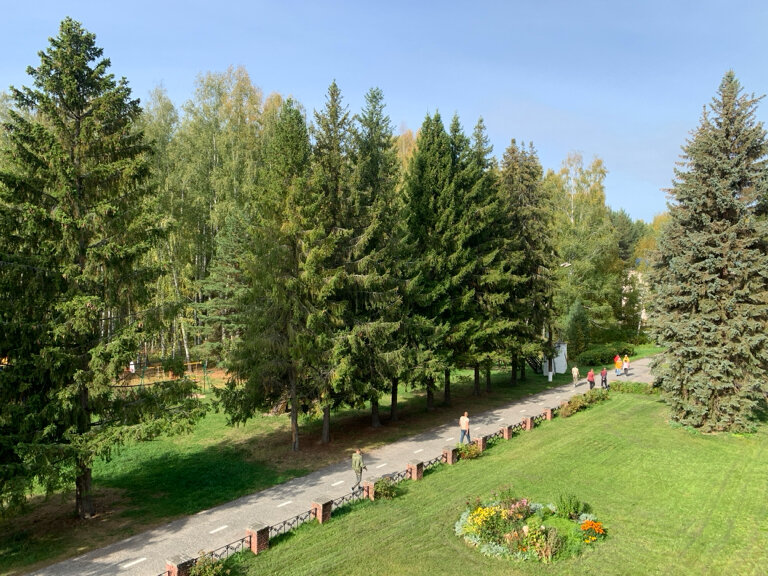 Фото Буревестник