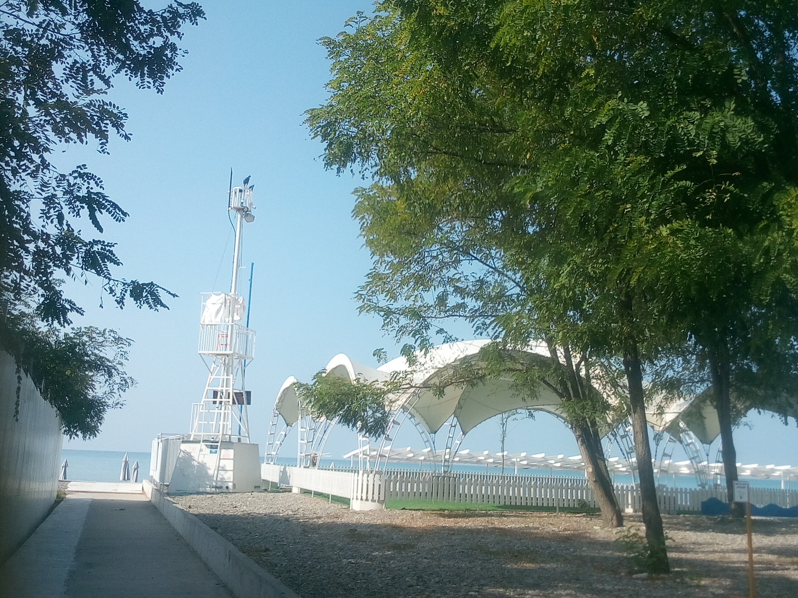 Фото Черный кот