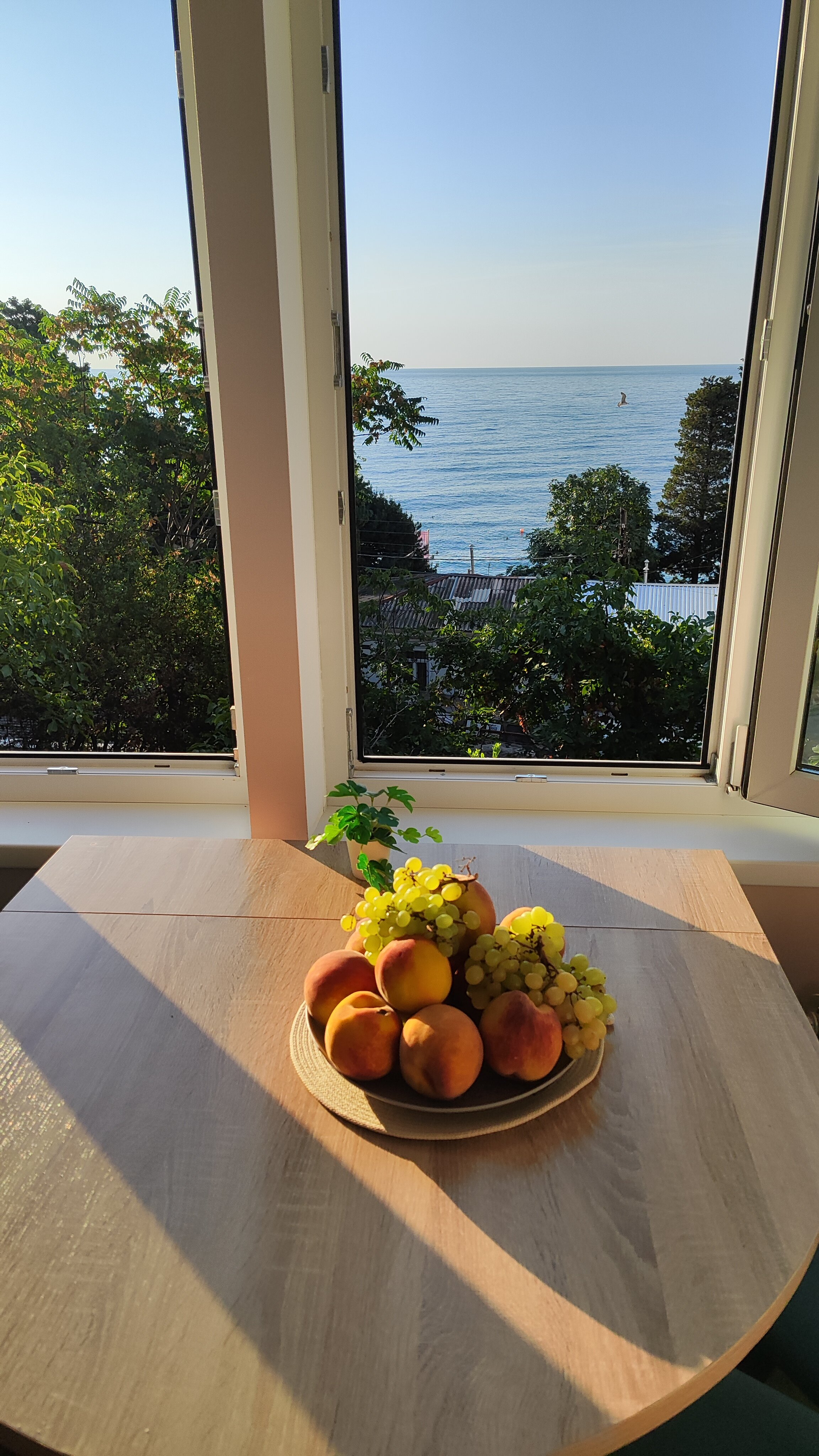 Фото На Дражинке