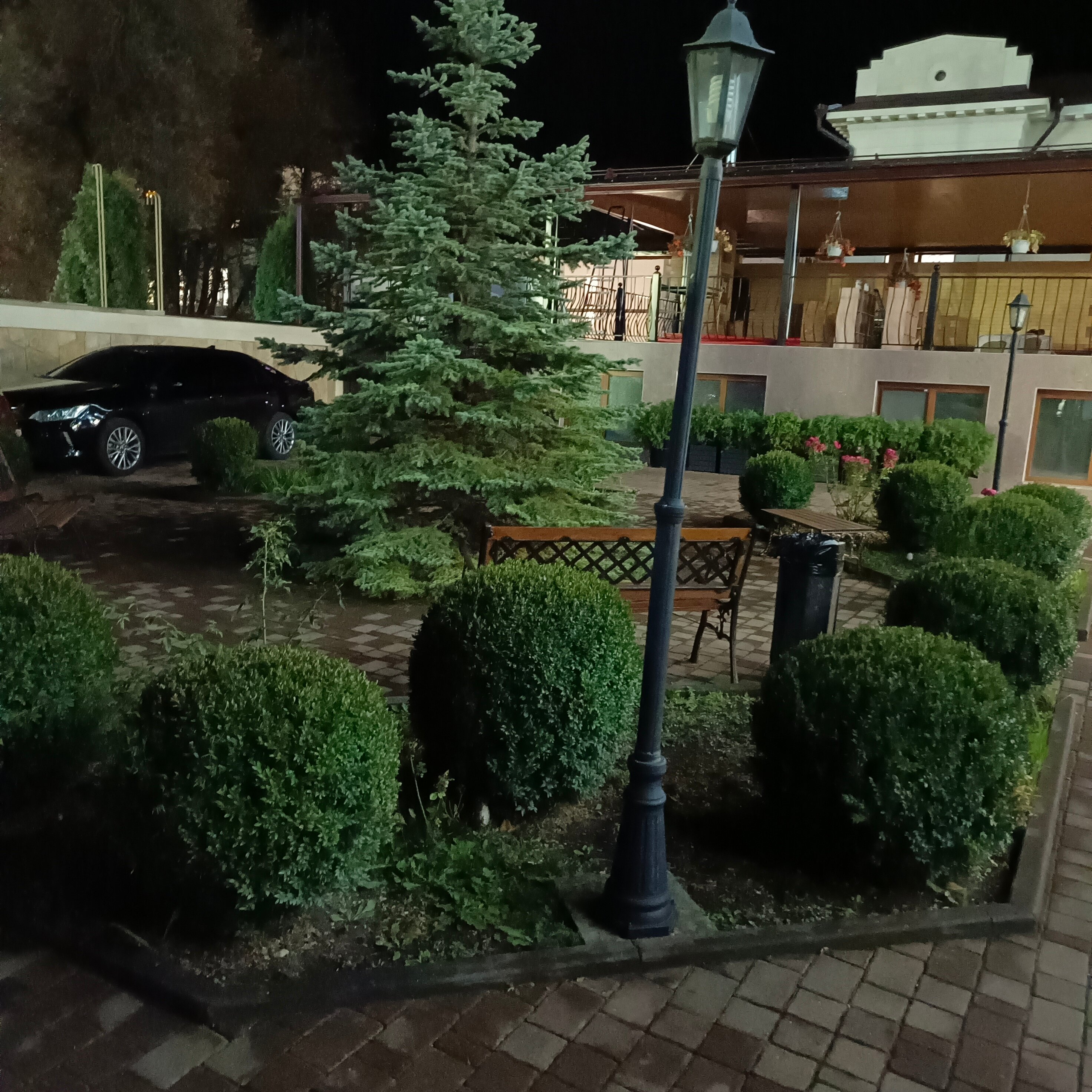 Фото Райгонд