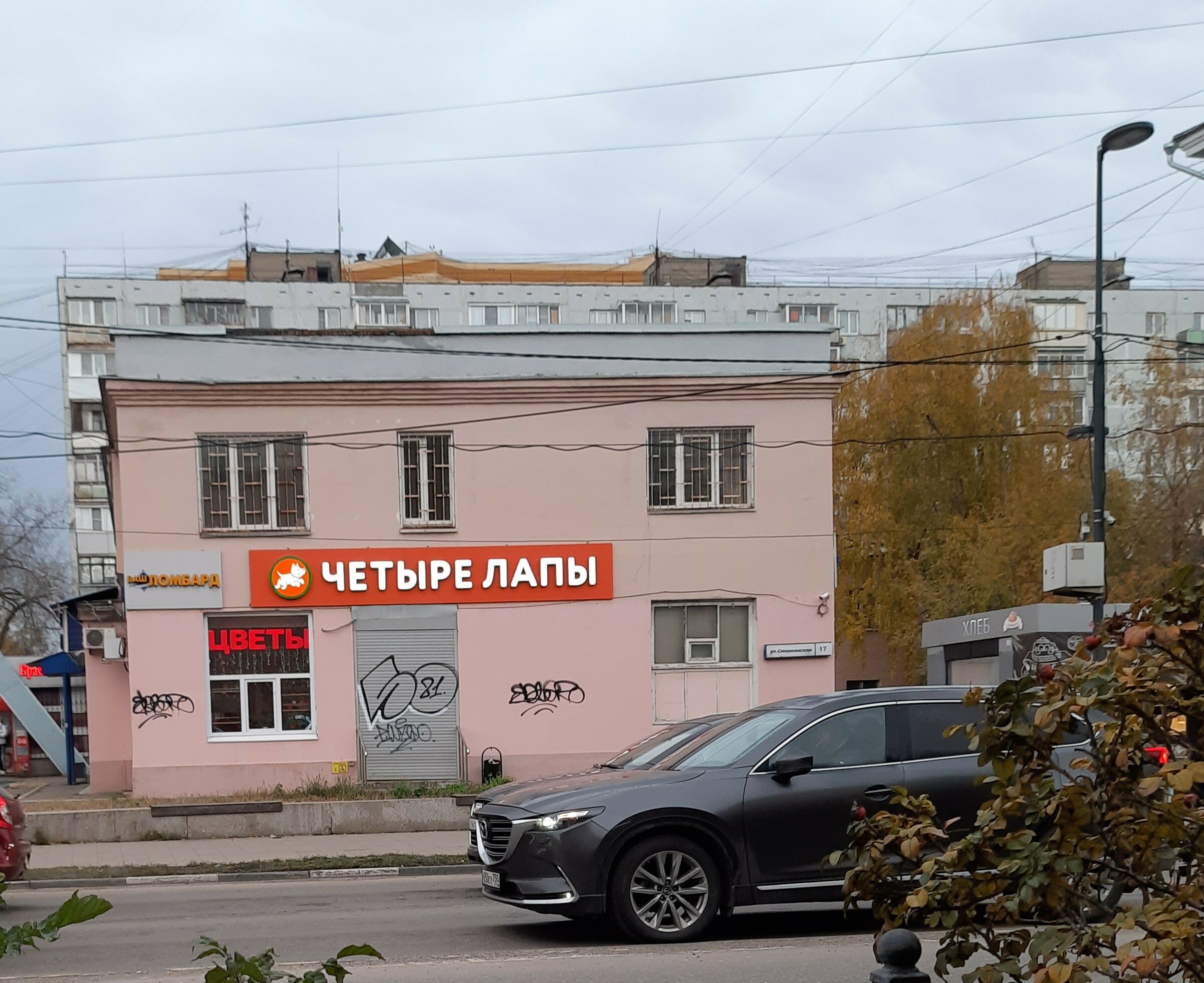 Четыре Лапы - фото 4