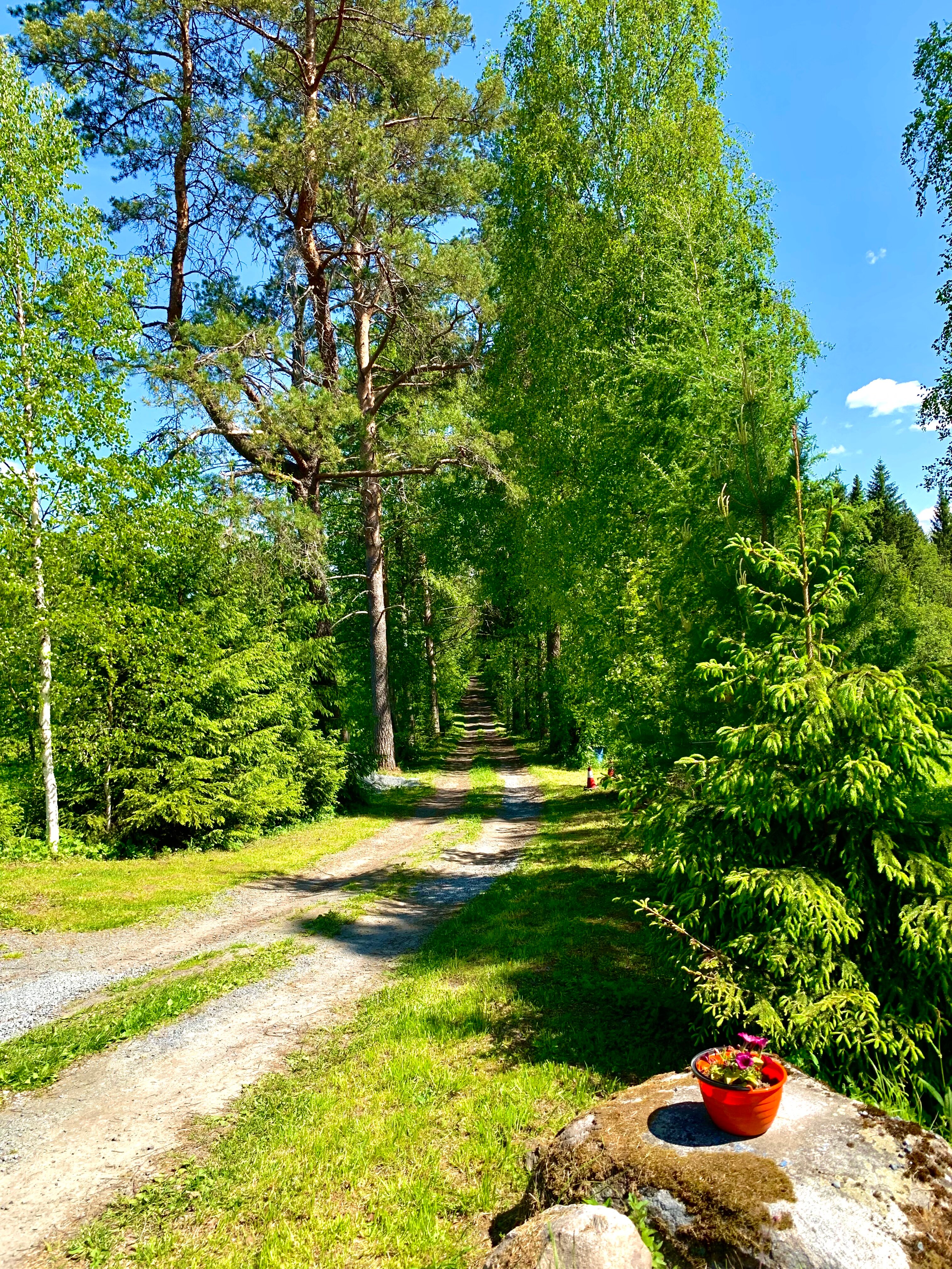 Фото Хутор Васильевых