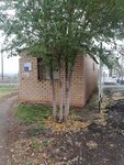 Otdeleniye pochtovoy svyazi Pervaya Grigoryevka 461442 (selo Grigoryevka Pervaya, ulitsa Pobedy, 2В), post office