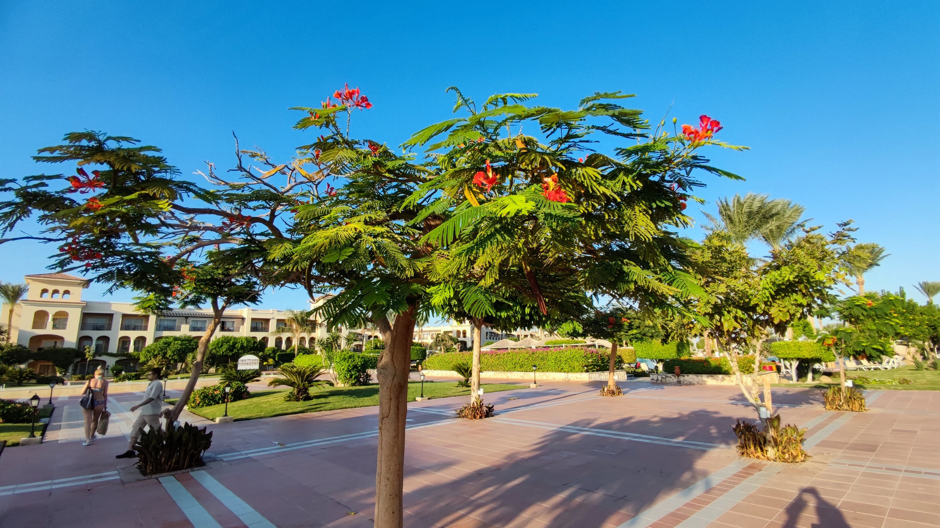 Фото Jaz Mirabel Beach