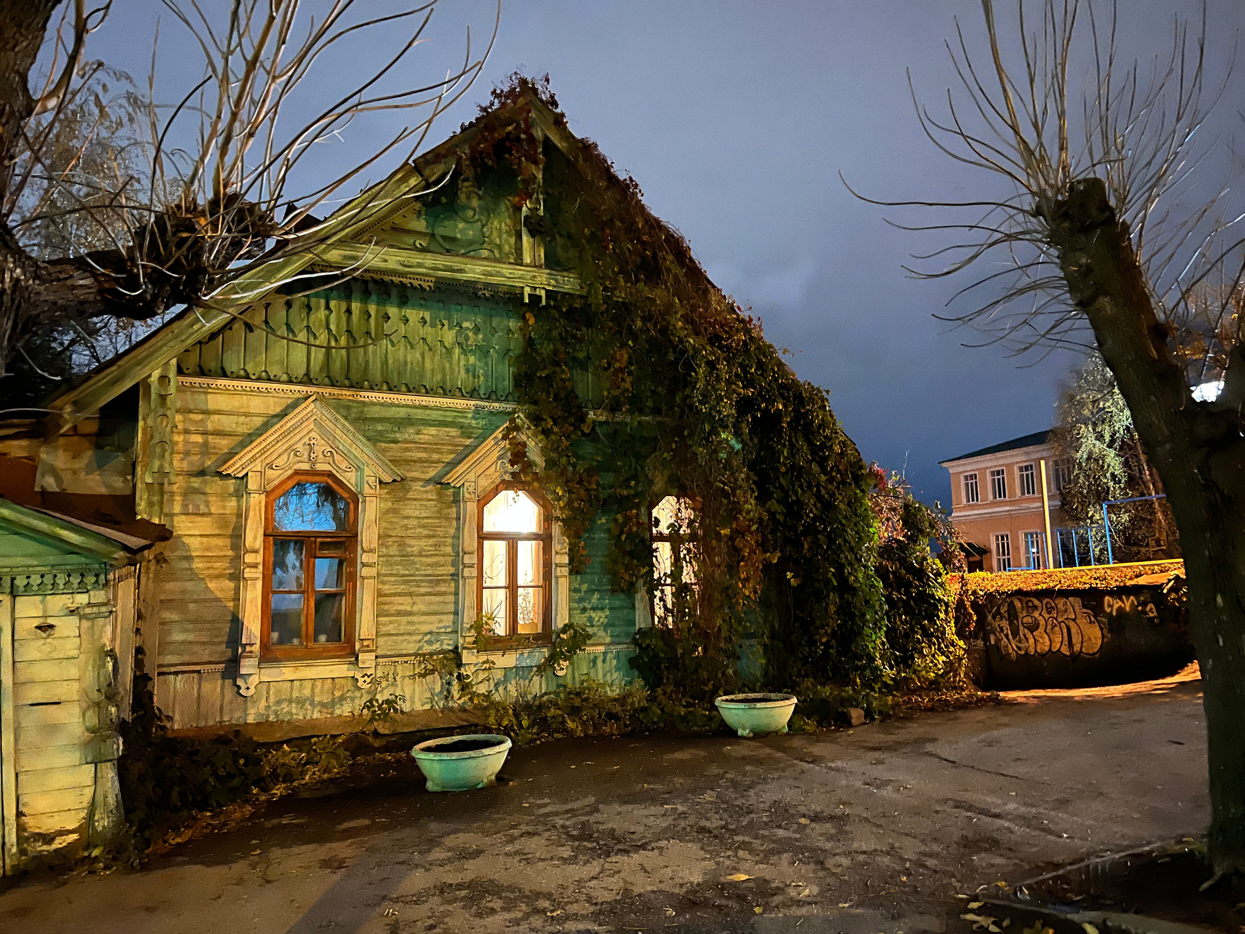 Фото Алексес