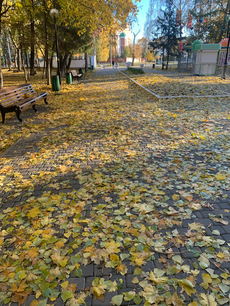 Достопримечательность Трёхсотлетний дуб, Самара, фото