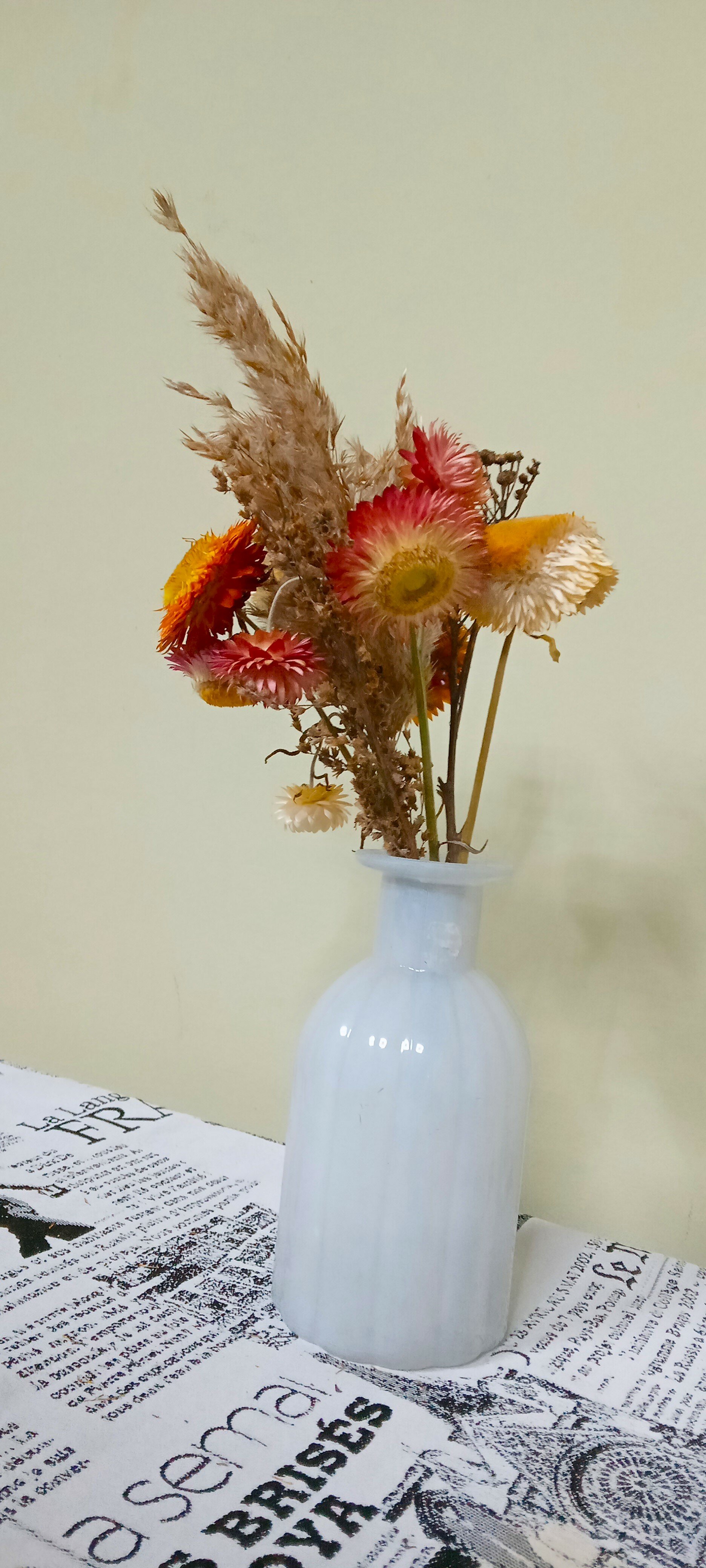 Фото Улитка