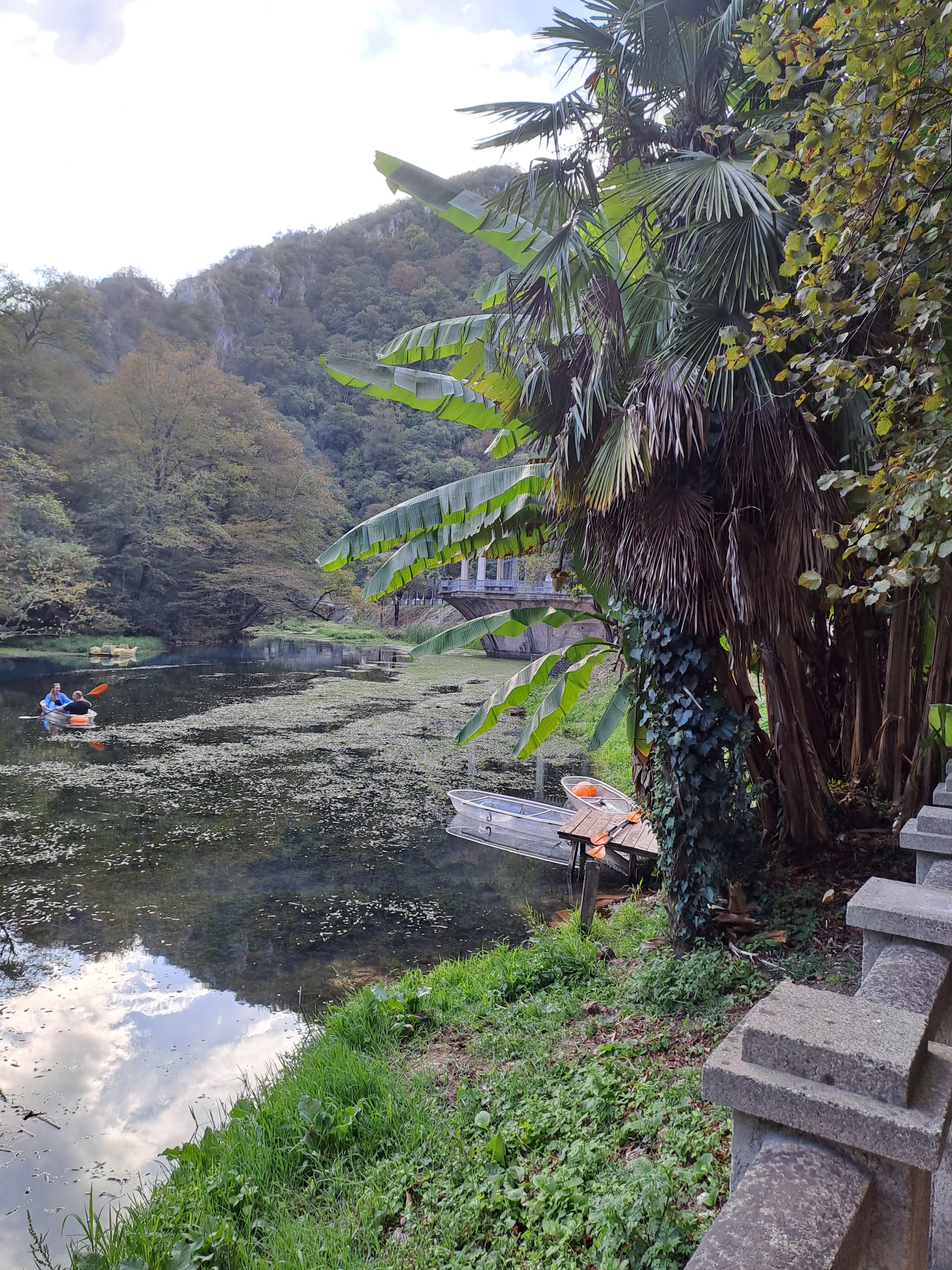 Фото Holiday park Psyrdzha