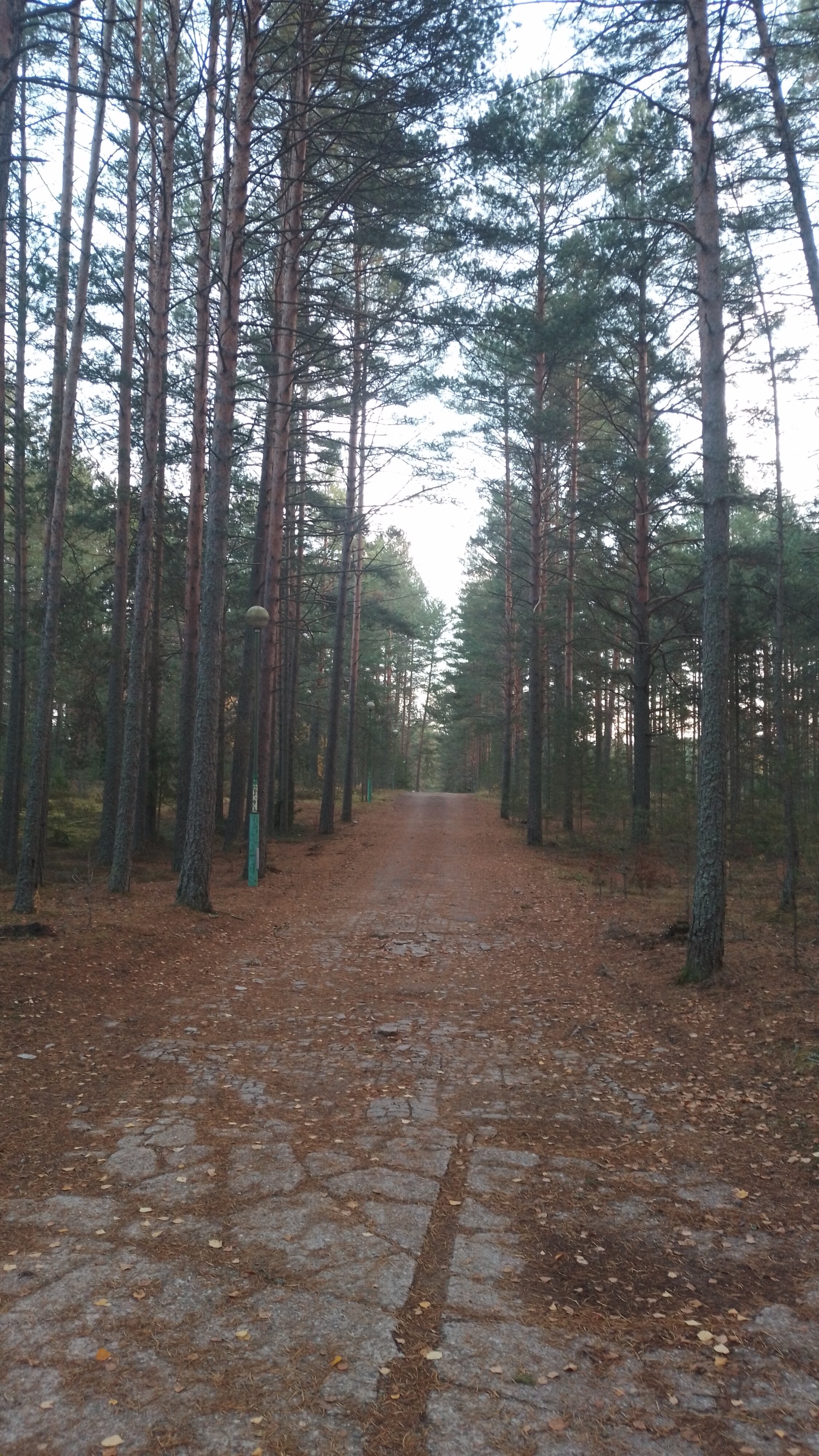 Фото Частный Дом для отдыха на Селигере