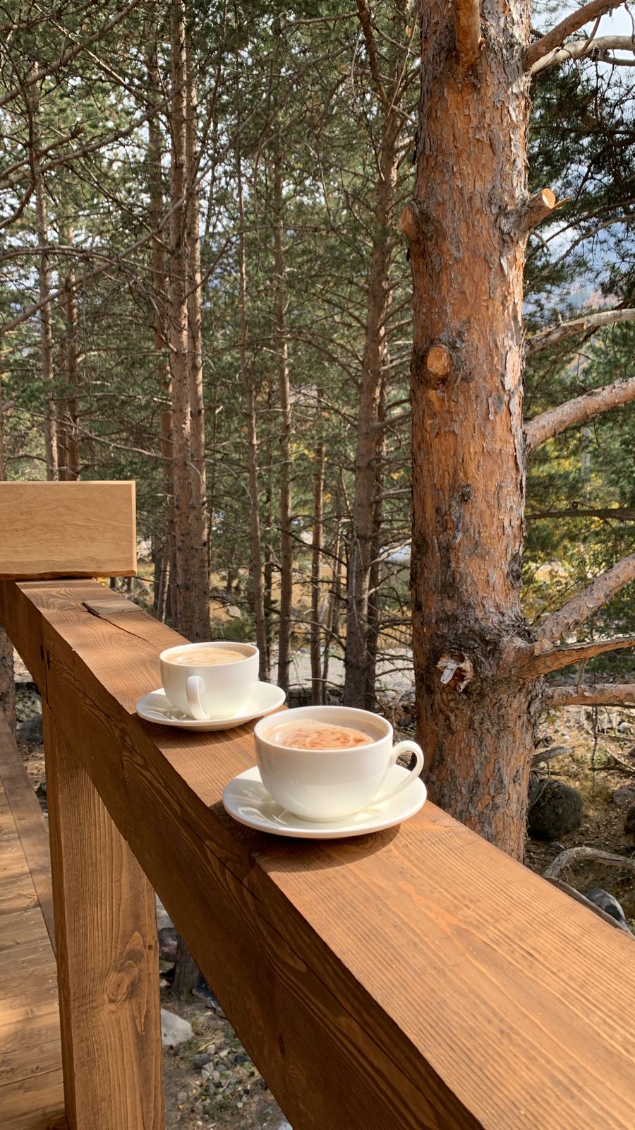 Фото Alpine House Terskol