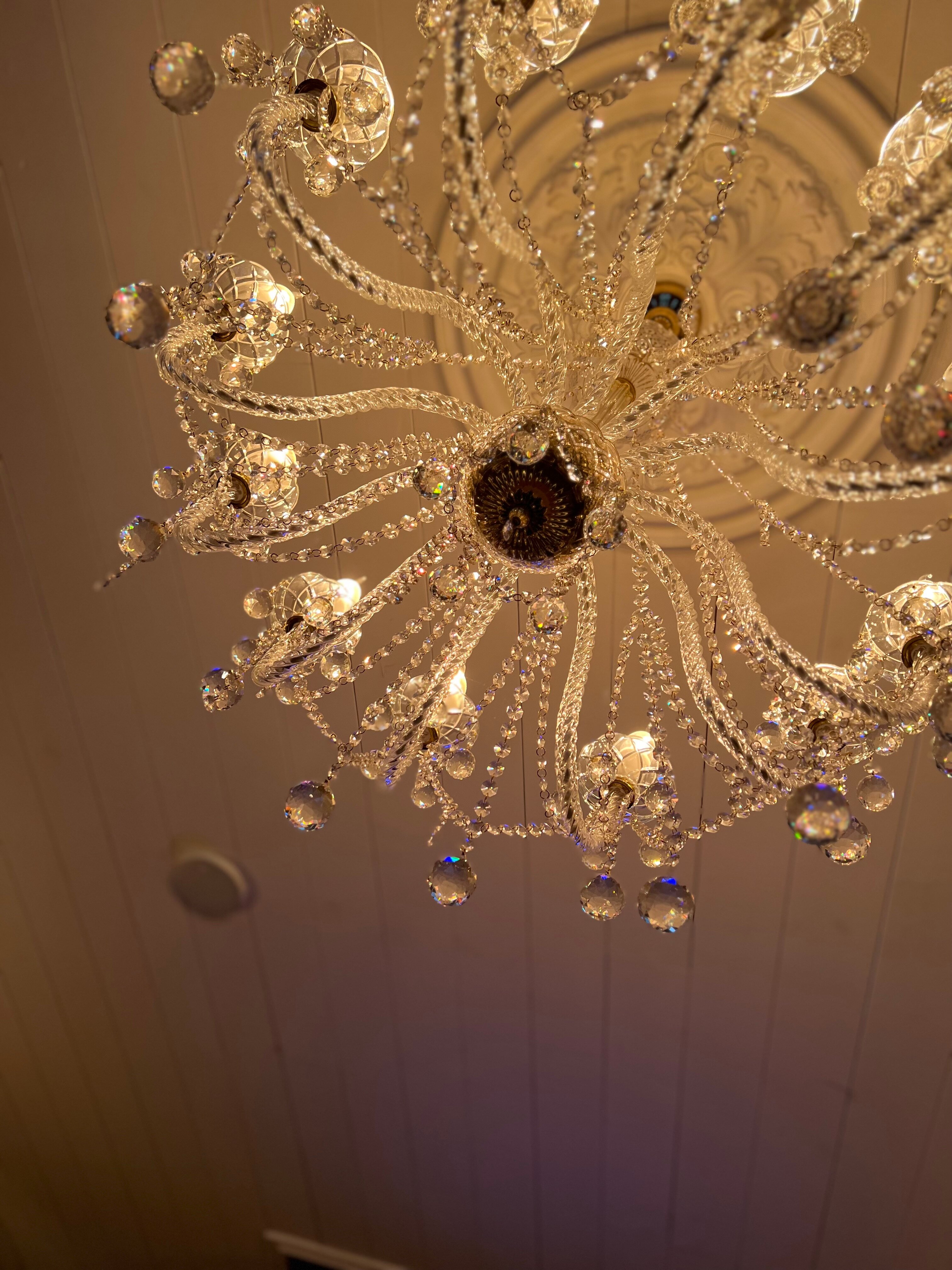 Фото Маёнтак Птичь