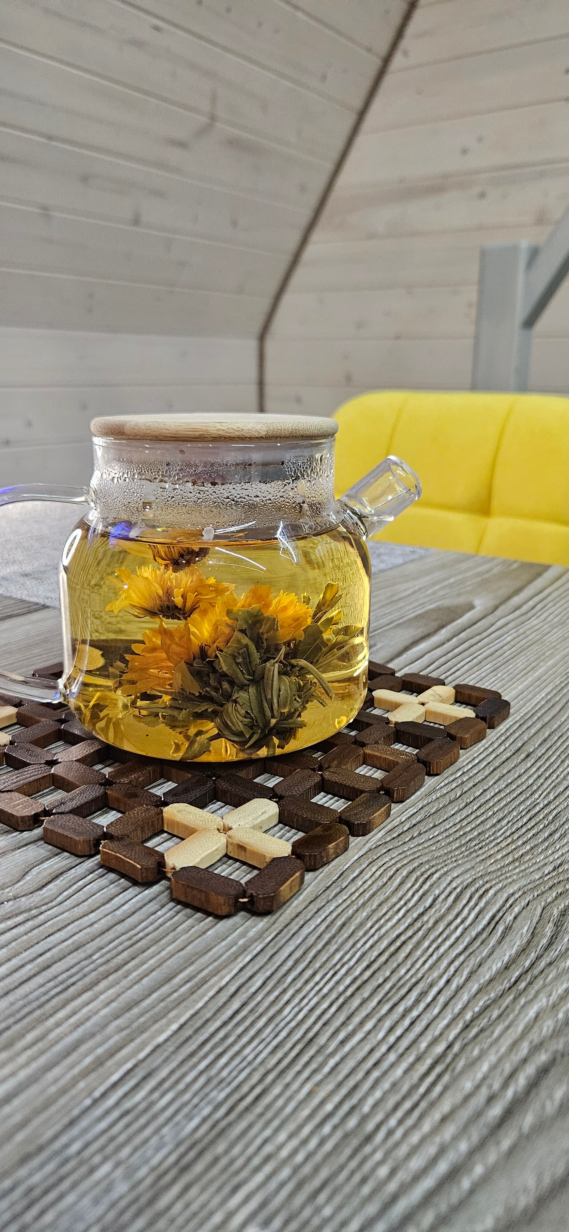 Фото Волшебный лес