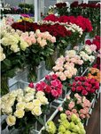 Цветомарин (derevnya Enkolovo, Shosseynaya ulitsa, 3А), flower shop