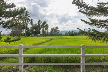 Фото Cha Am Country Home