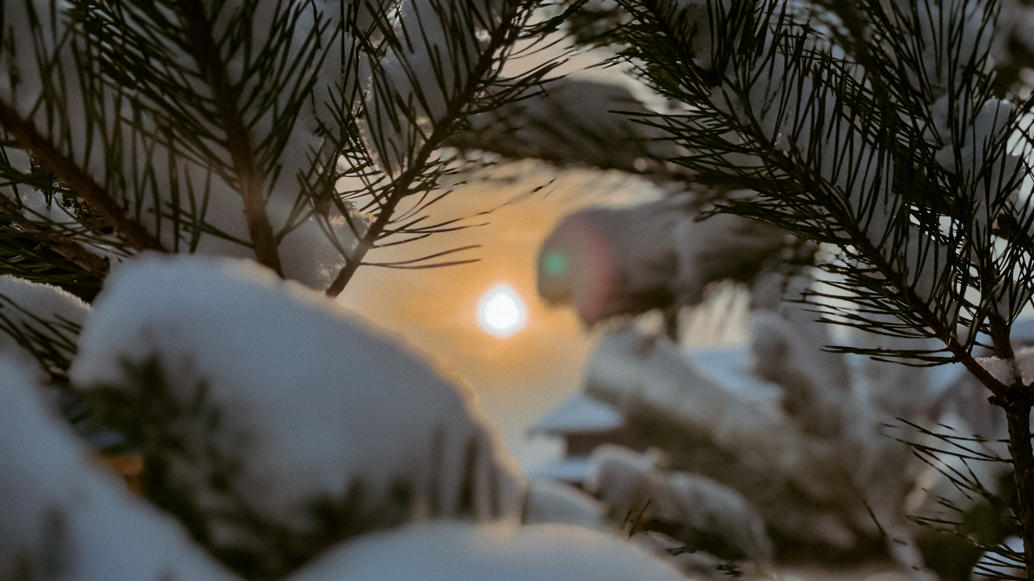 Фото HappyTreeCamp