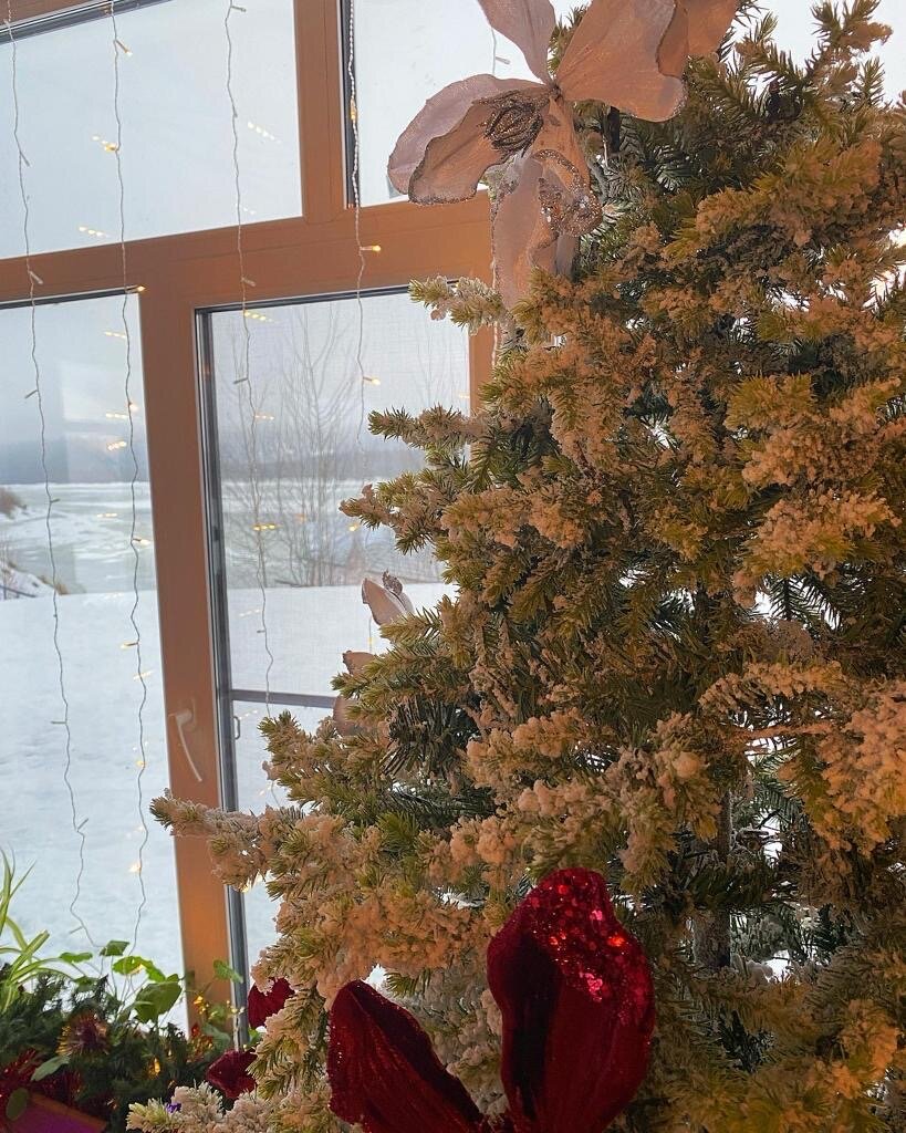 Фото Адмирал