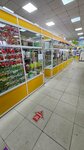 Магазин посадочного материала (Sovetov Avenue, 9) ، متجر مستلزمات البستنة