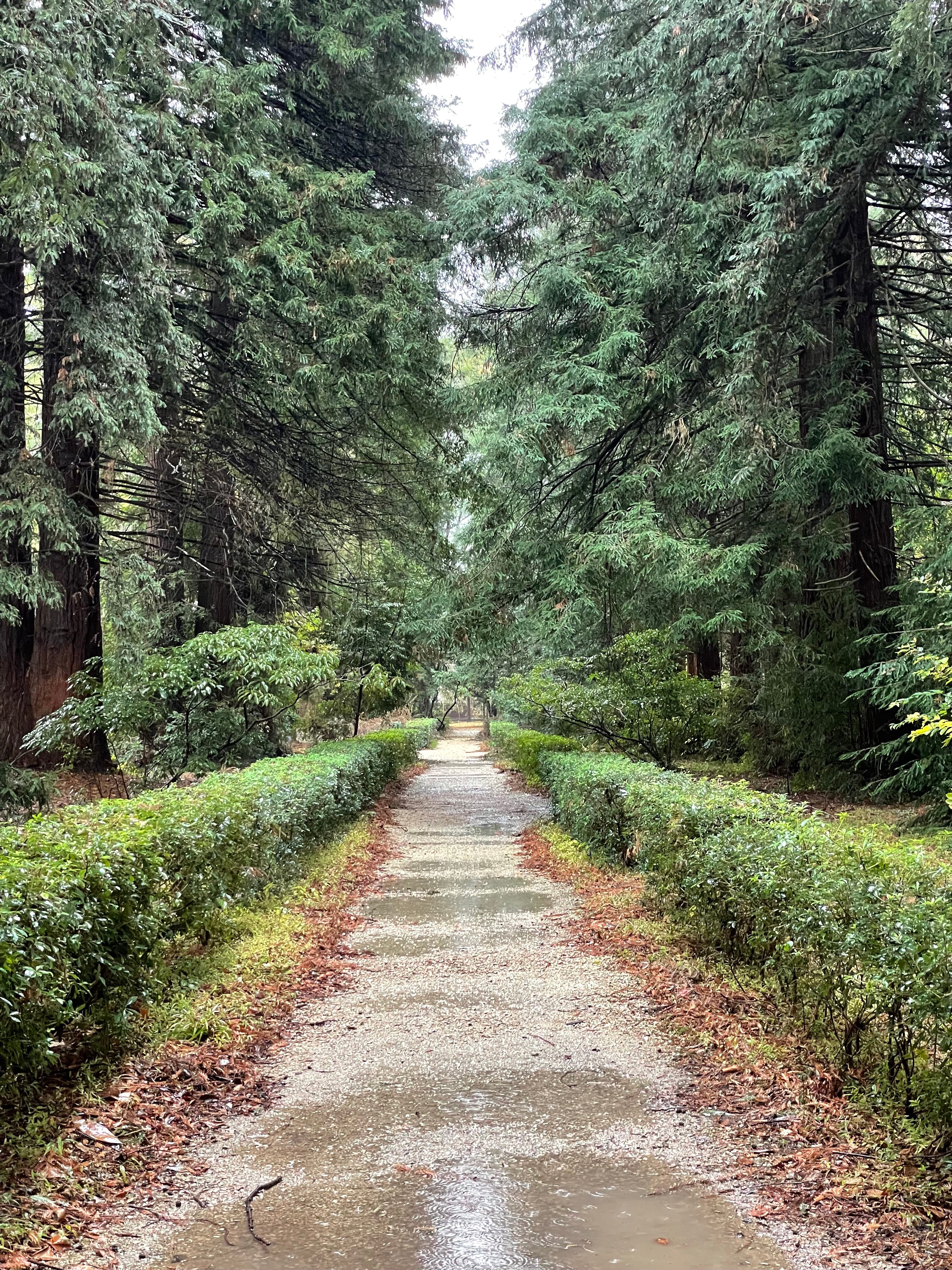 Фото Апартаменты Funduke