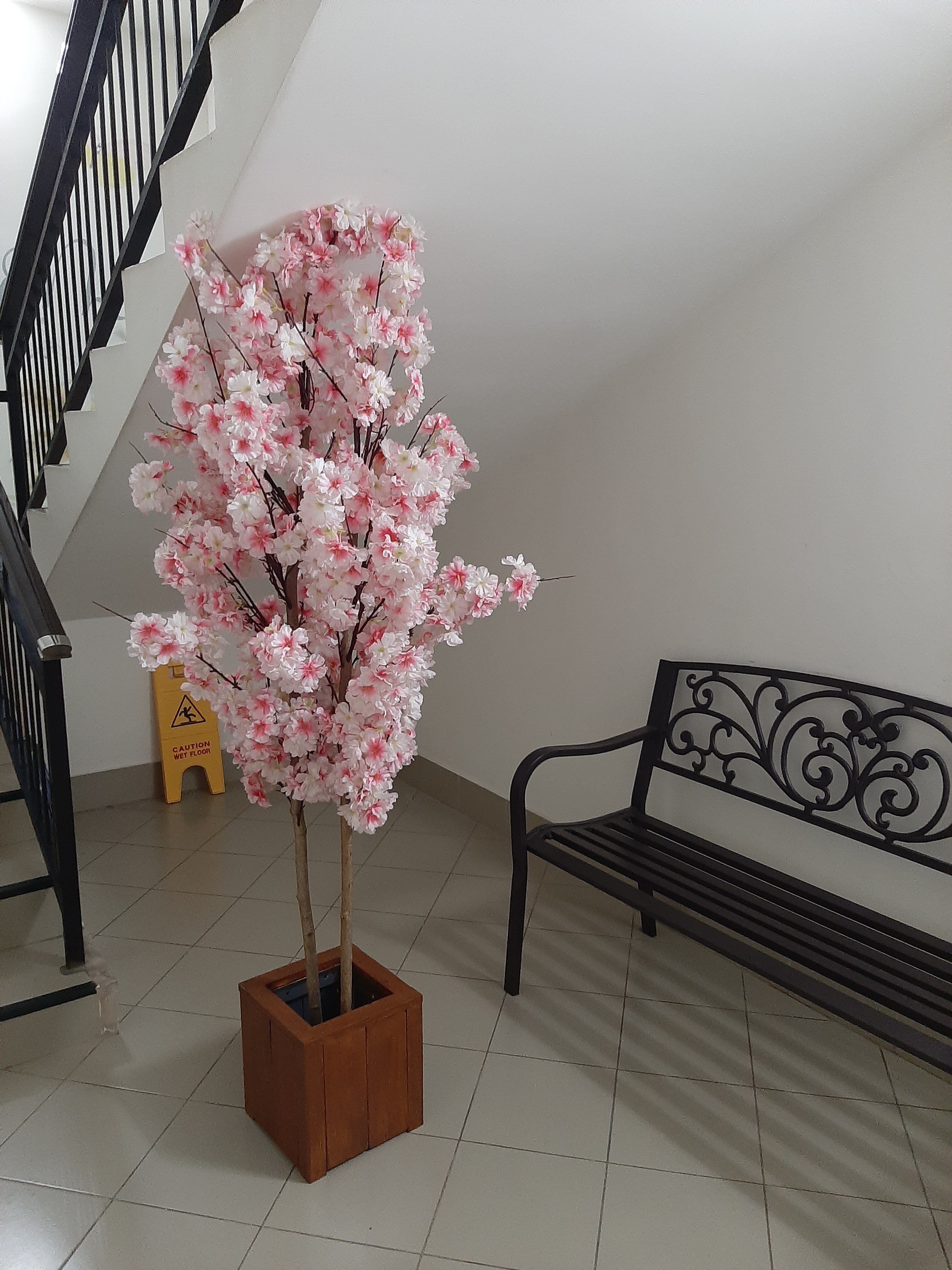 Фото Фарфалле