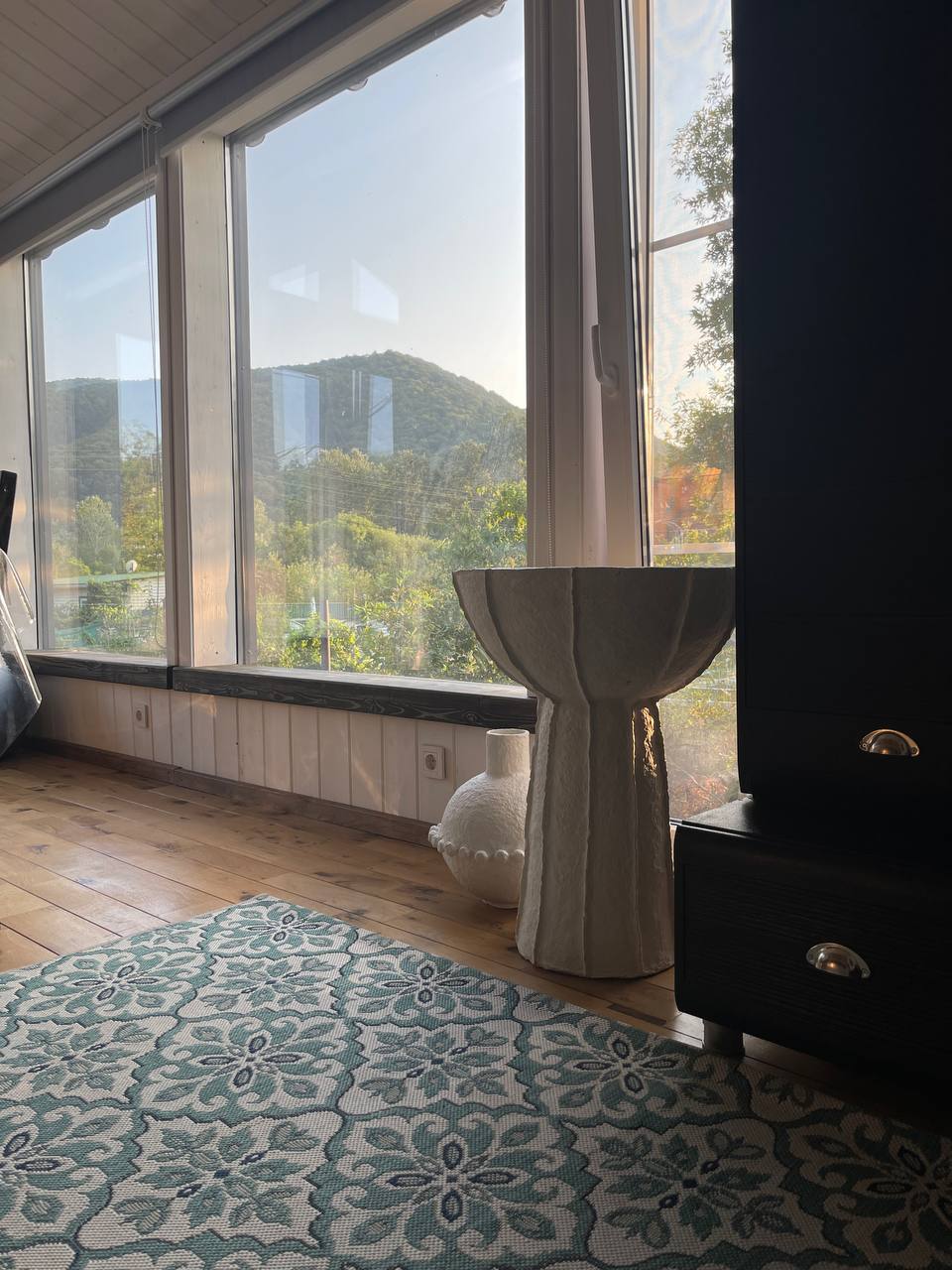 Фото Секвойя