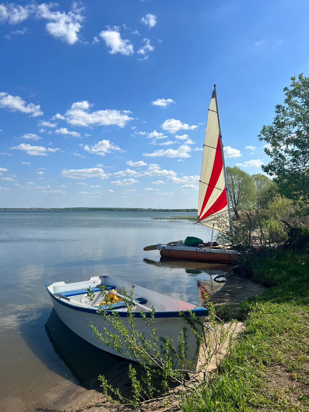 Фото Дом на дереве
