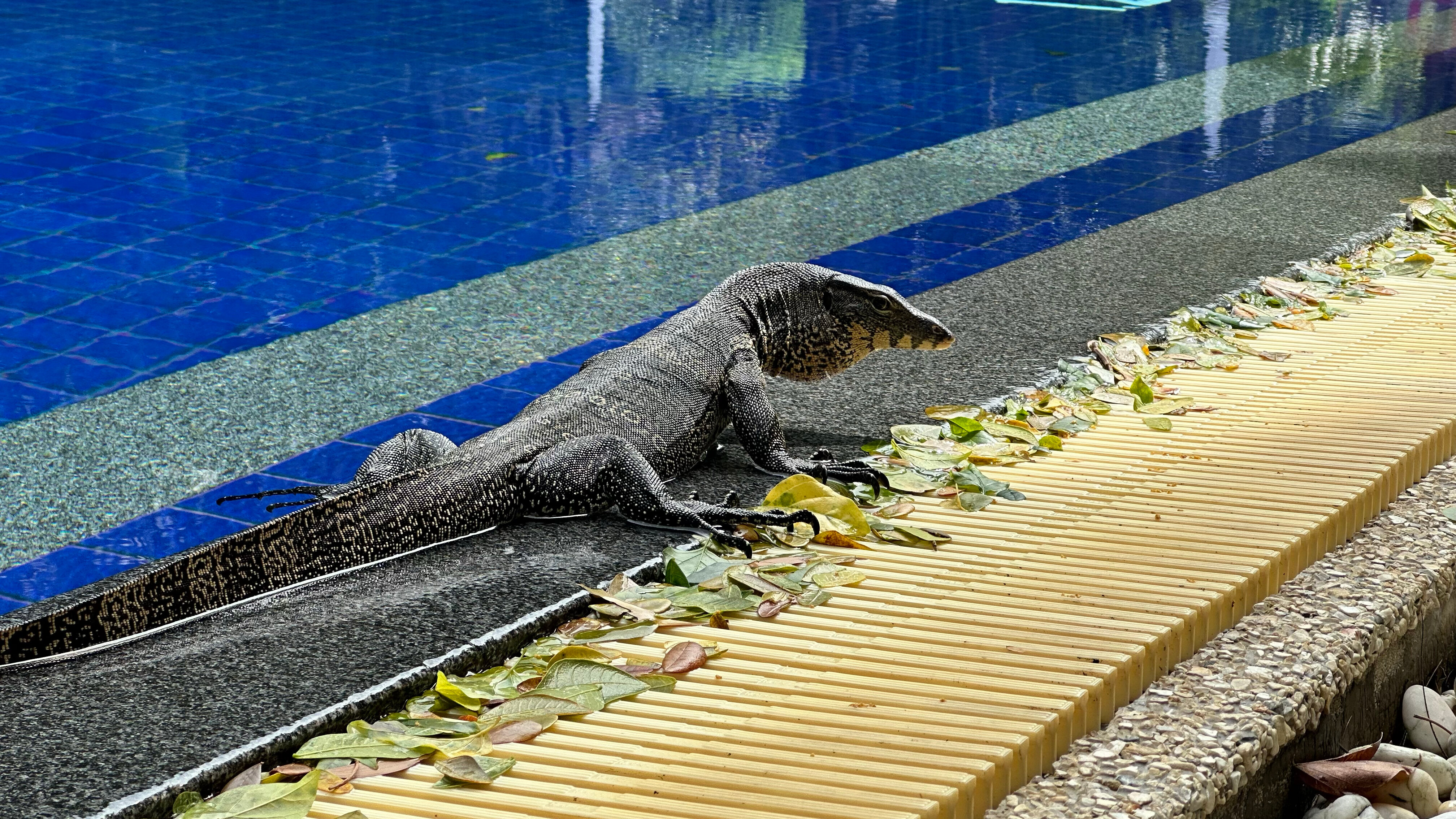 Фото Kamala Beach Resort a Sunprime Resort