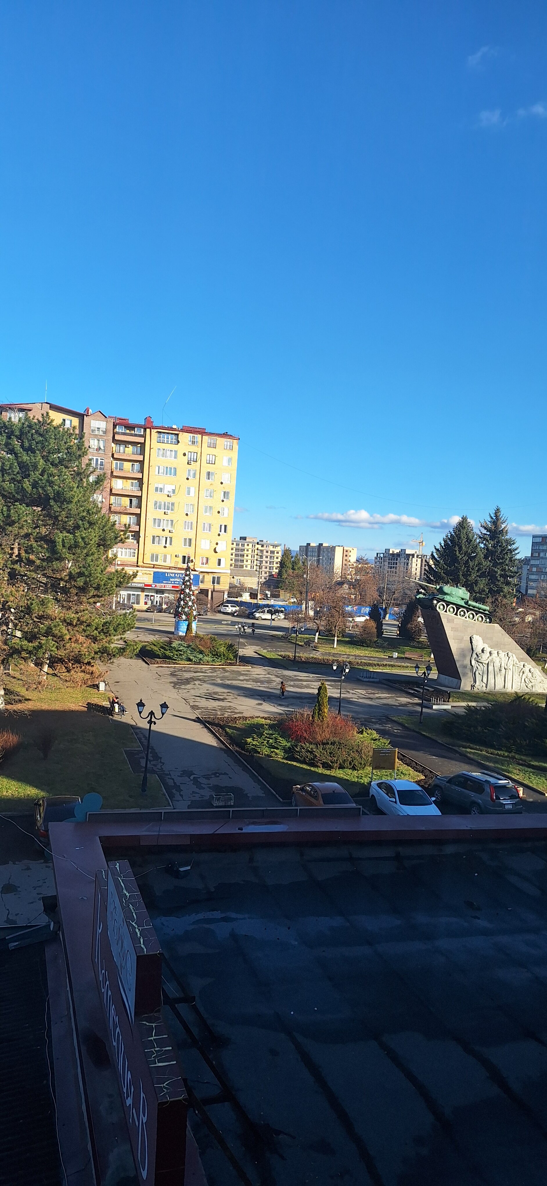 Фото Камелия-В