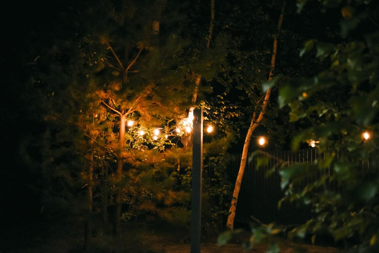 Фото 13 Берёз