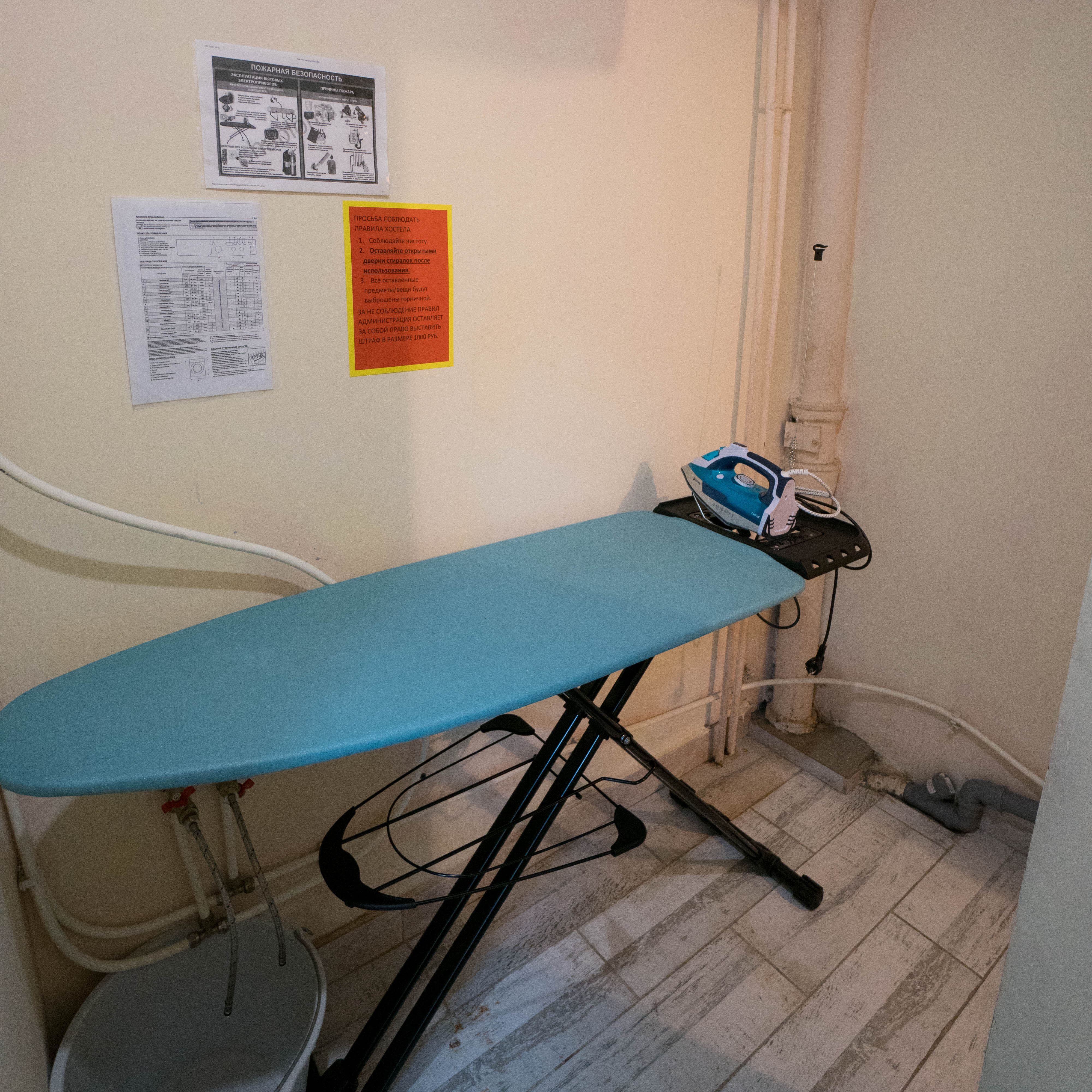 Фото Все медведи