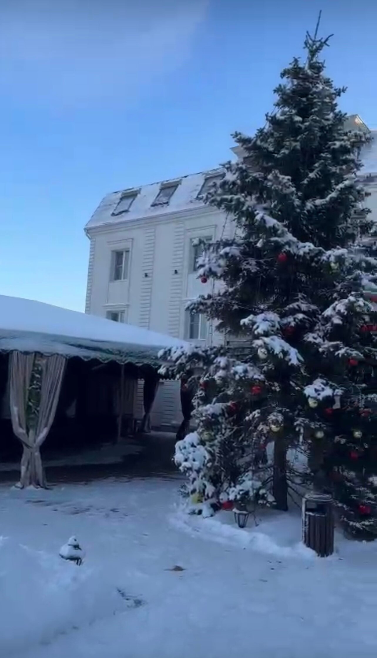 Фото Жардин