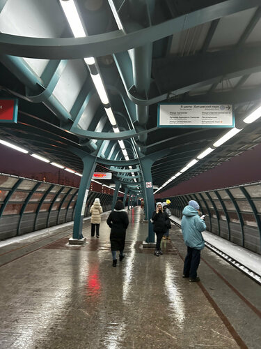 Buninskaya Alleya (Moscow, Chernevskaya Street), metro station