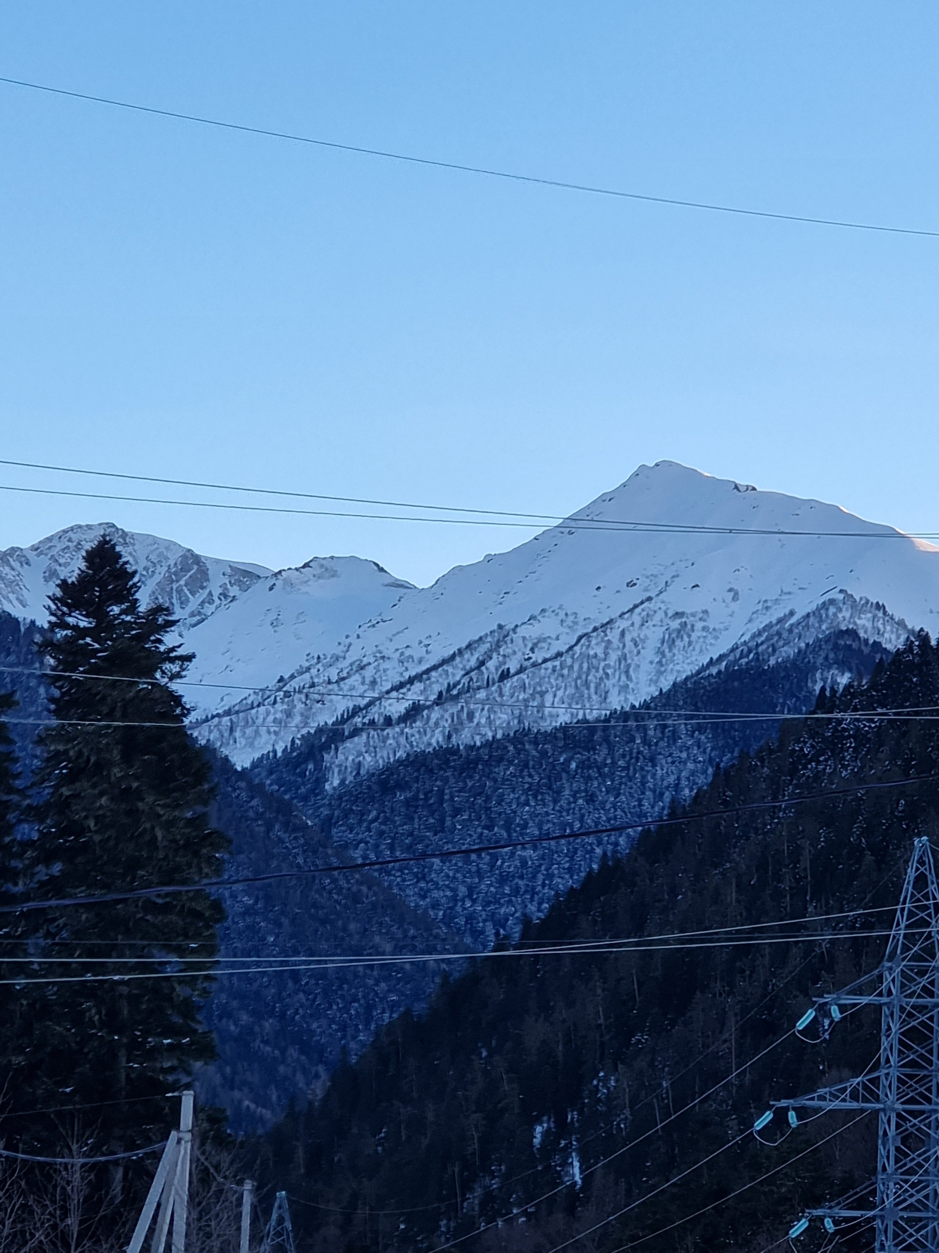 Фото Дикая Лошадь