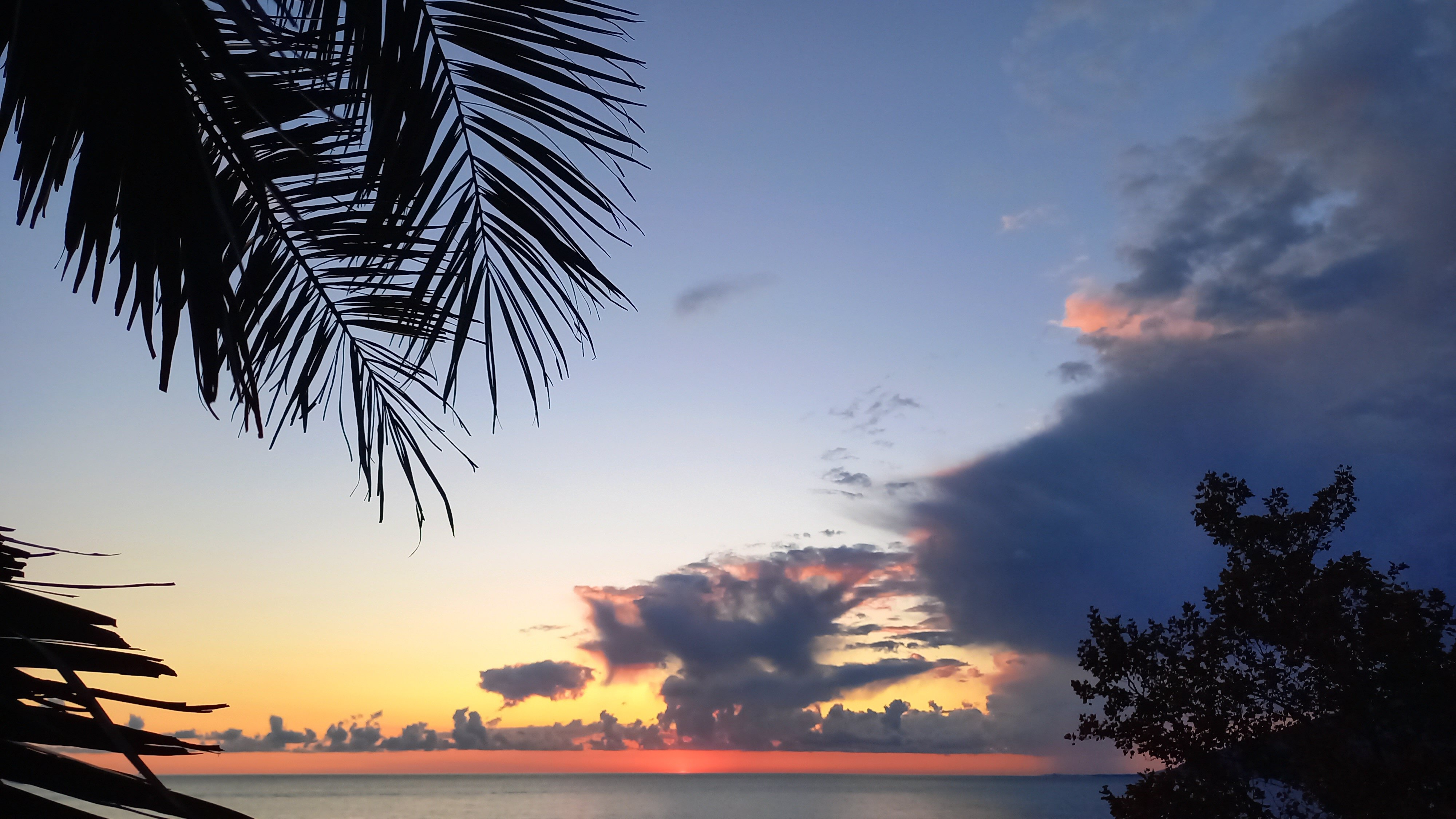 Фото Светлана