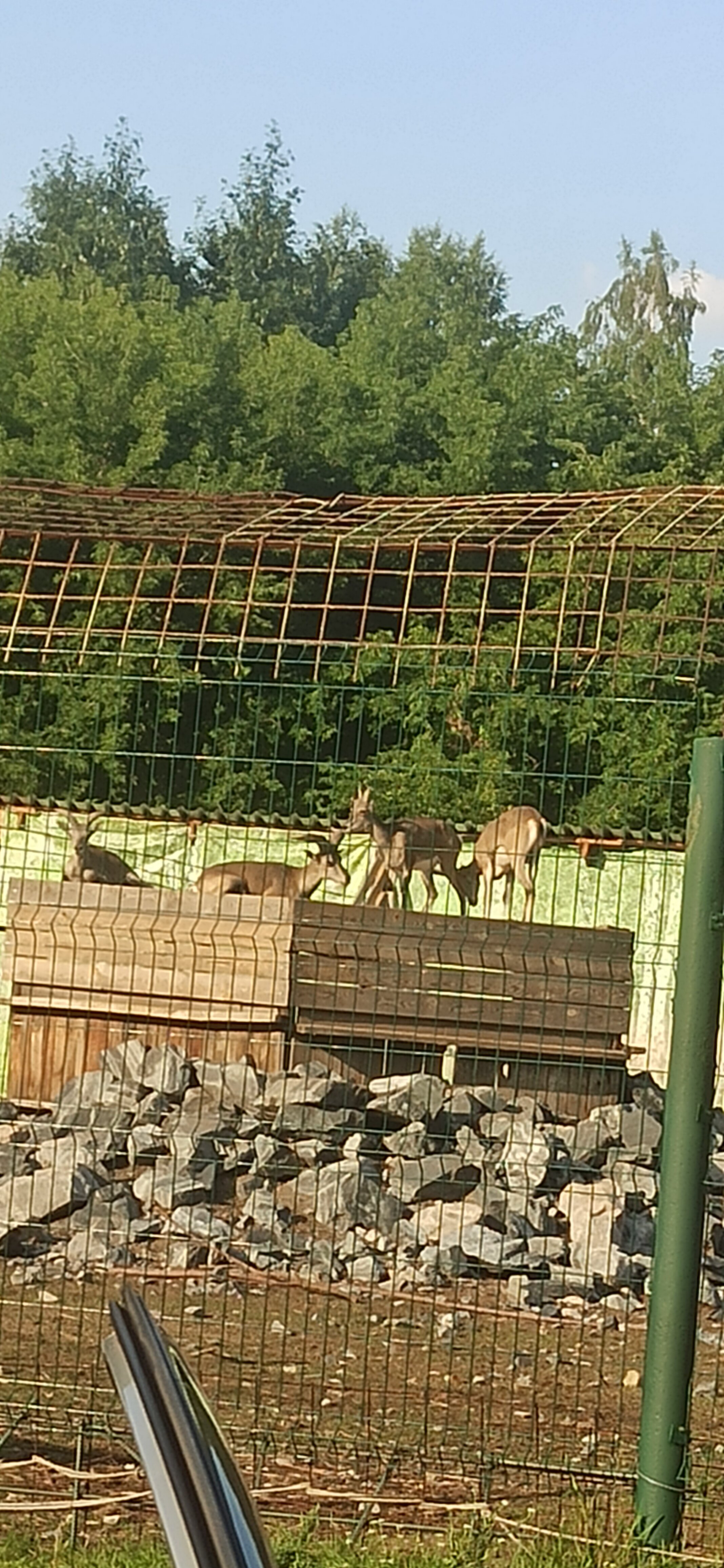 Фото Теремки